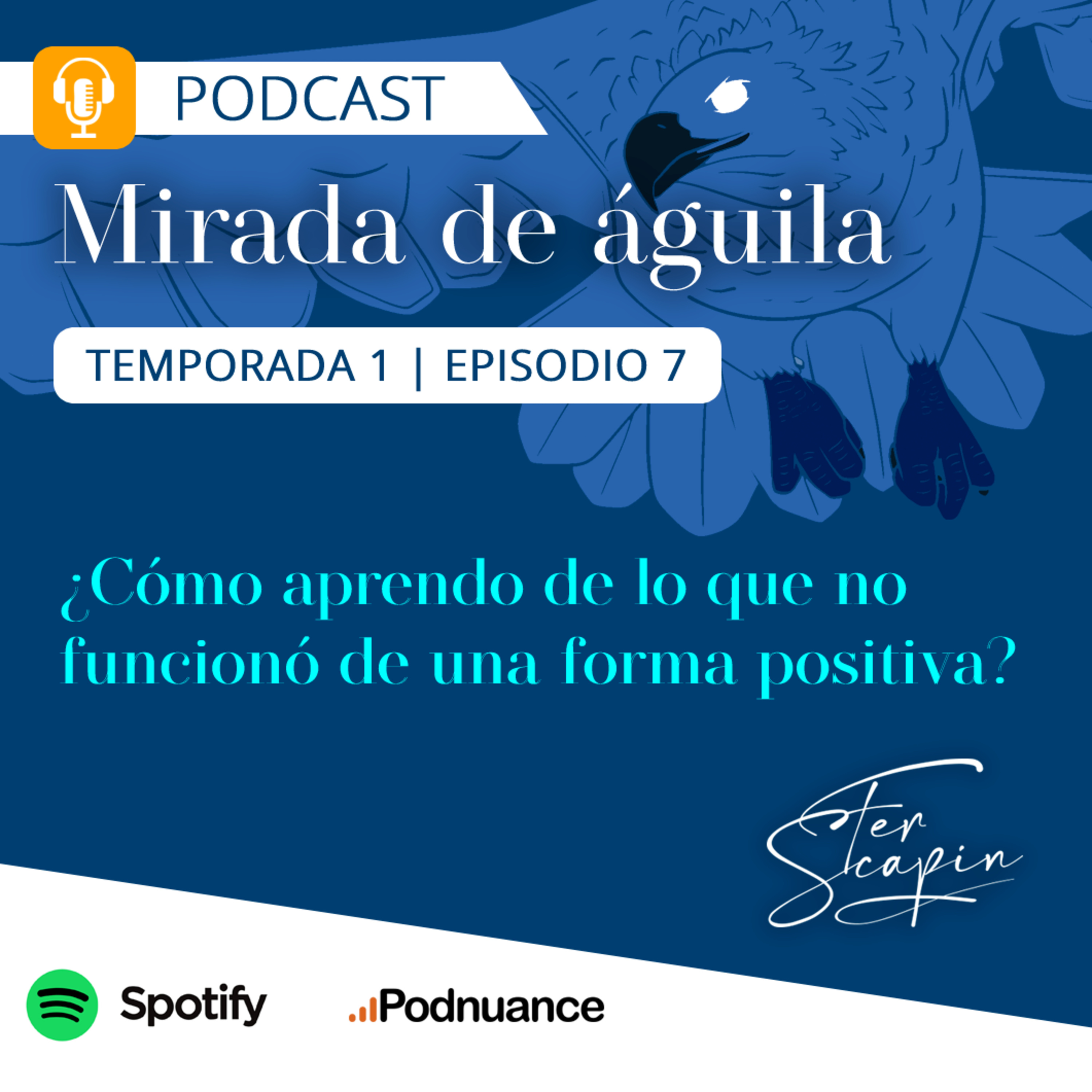 MIRADA DE ÁGUILA