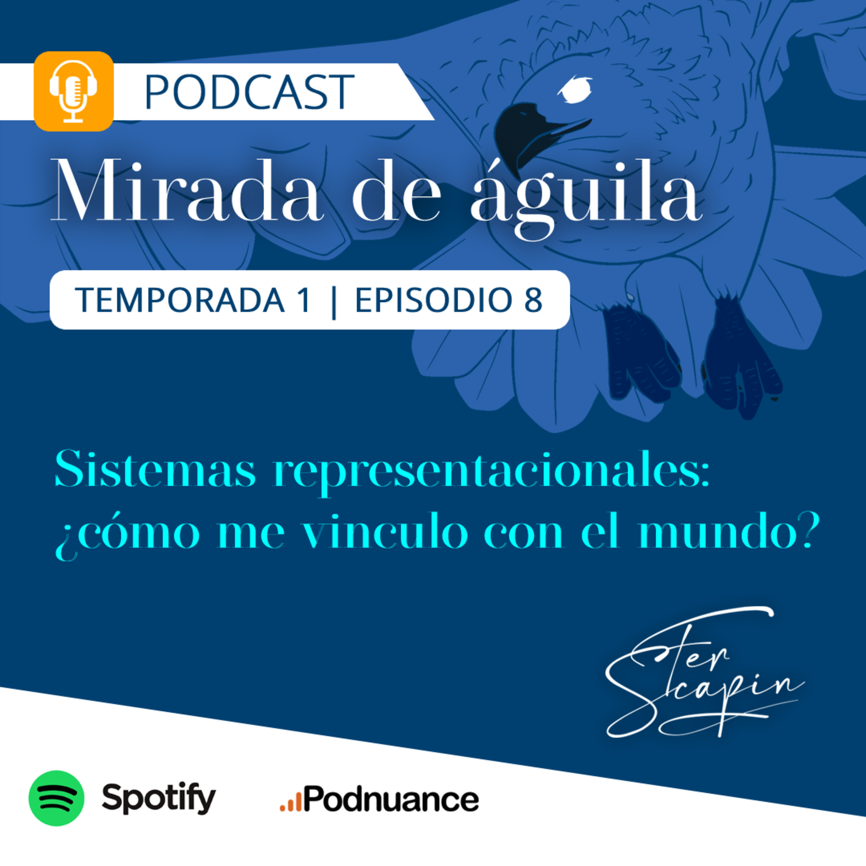MIRADA DE ÁGUILA