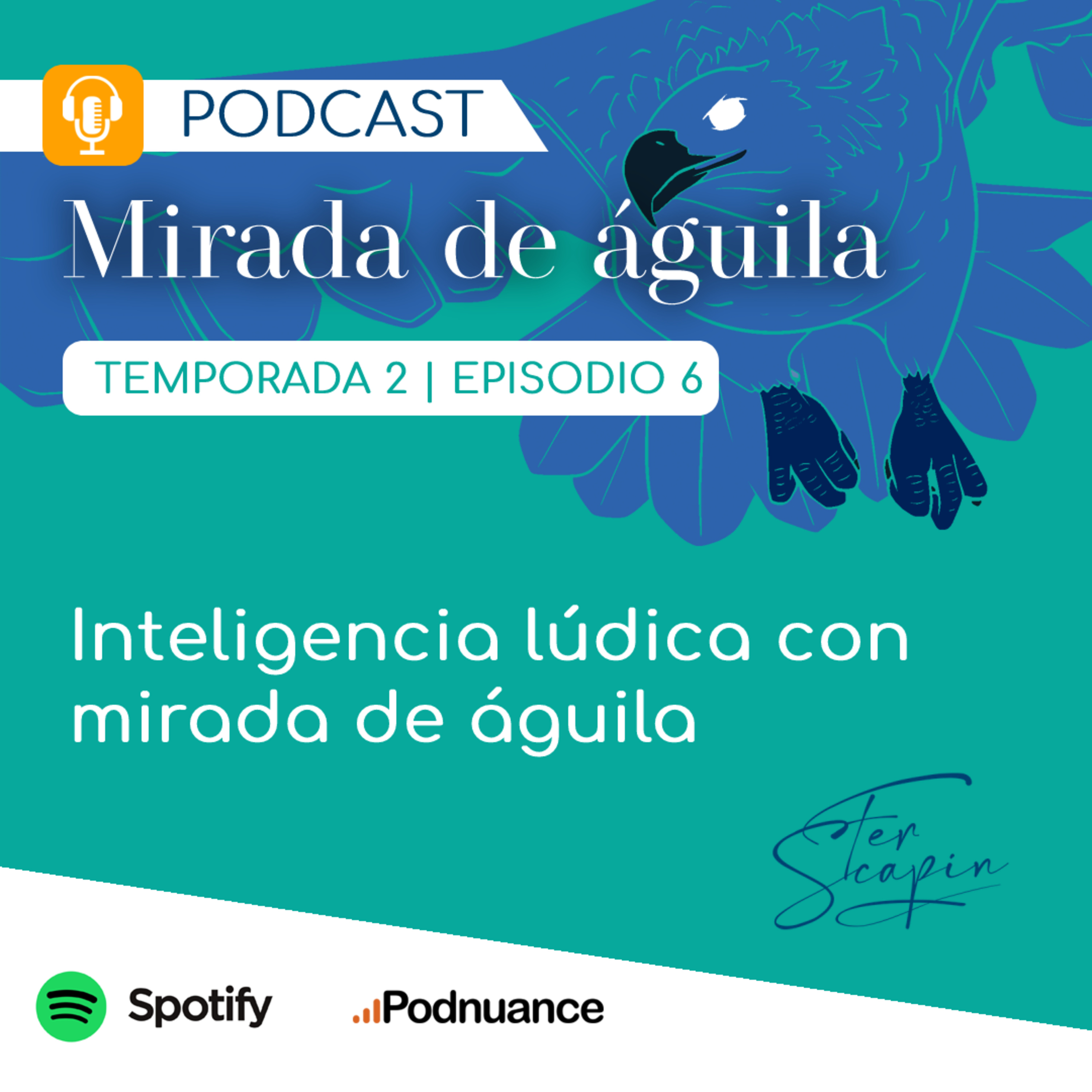 MIRADA DE ÁGUILA
