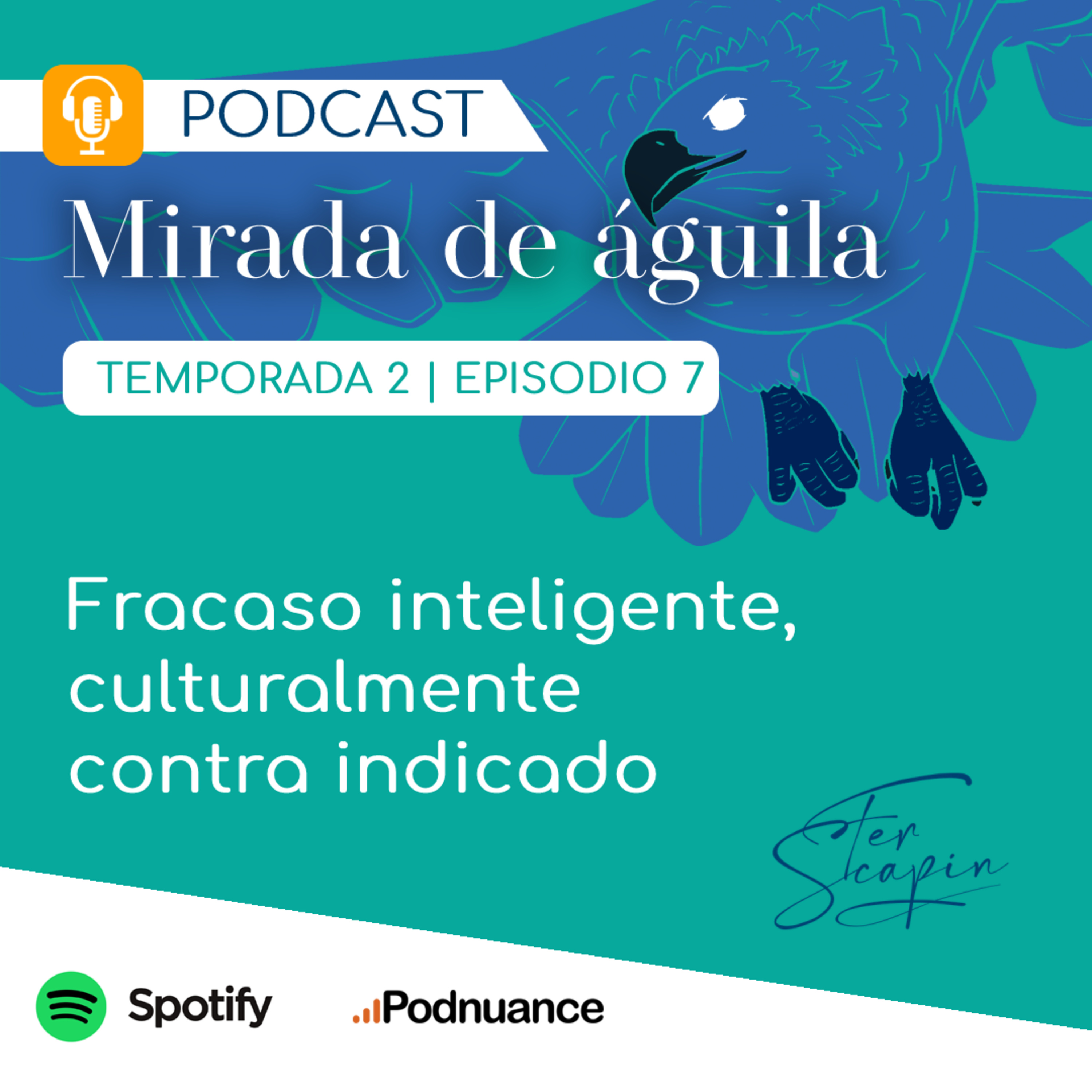 MIRADA DE ÁGUILA