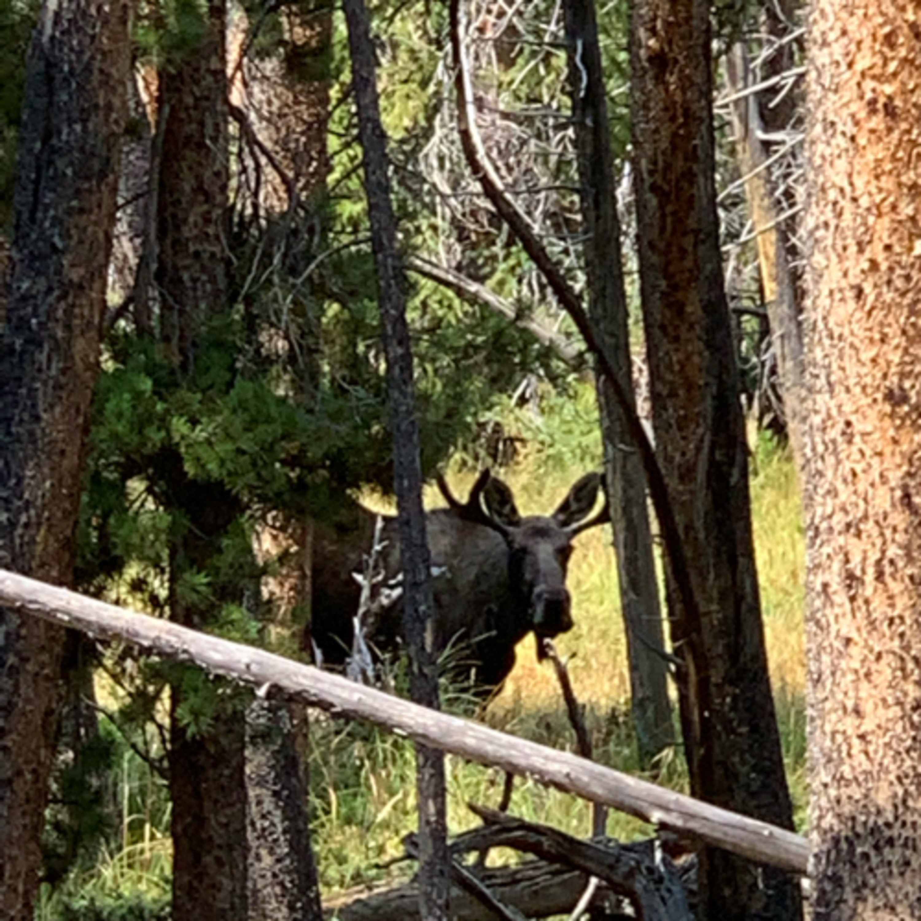 Rydalch Outdoors Podcast