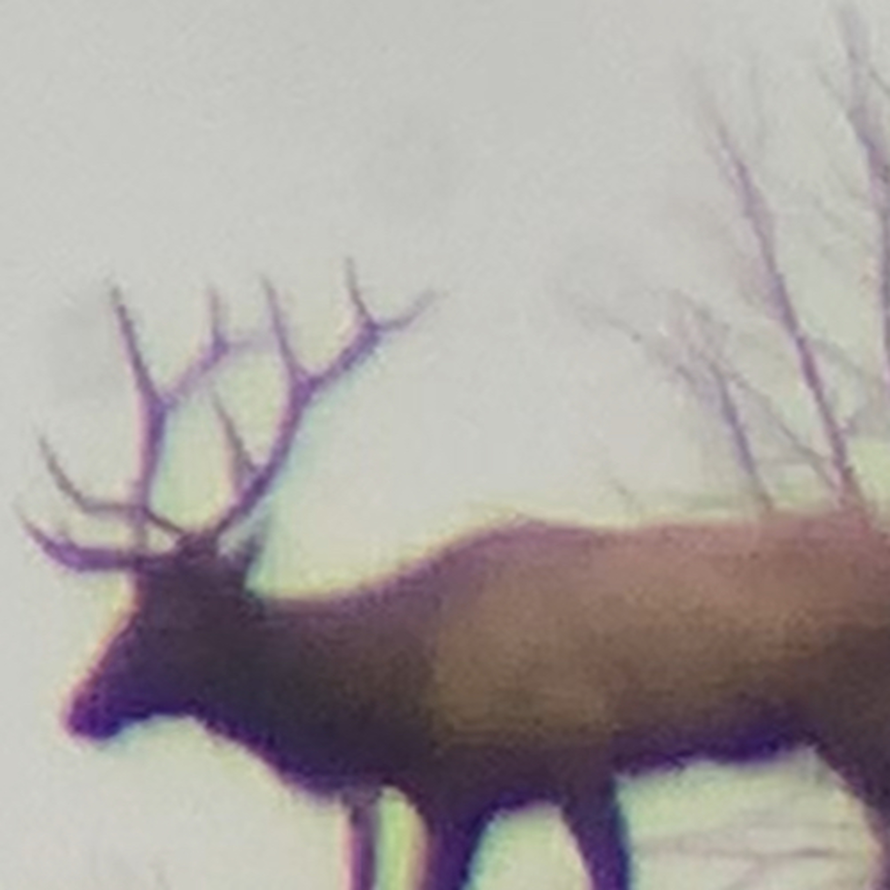 Rydalch Outdoors Podcast