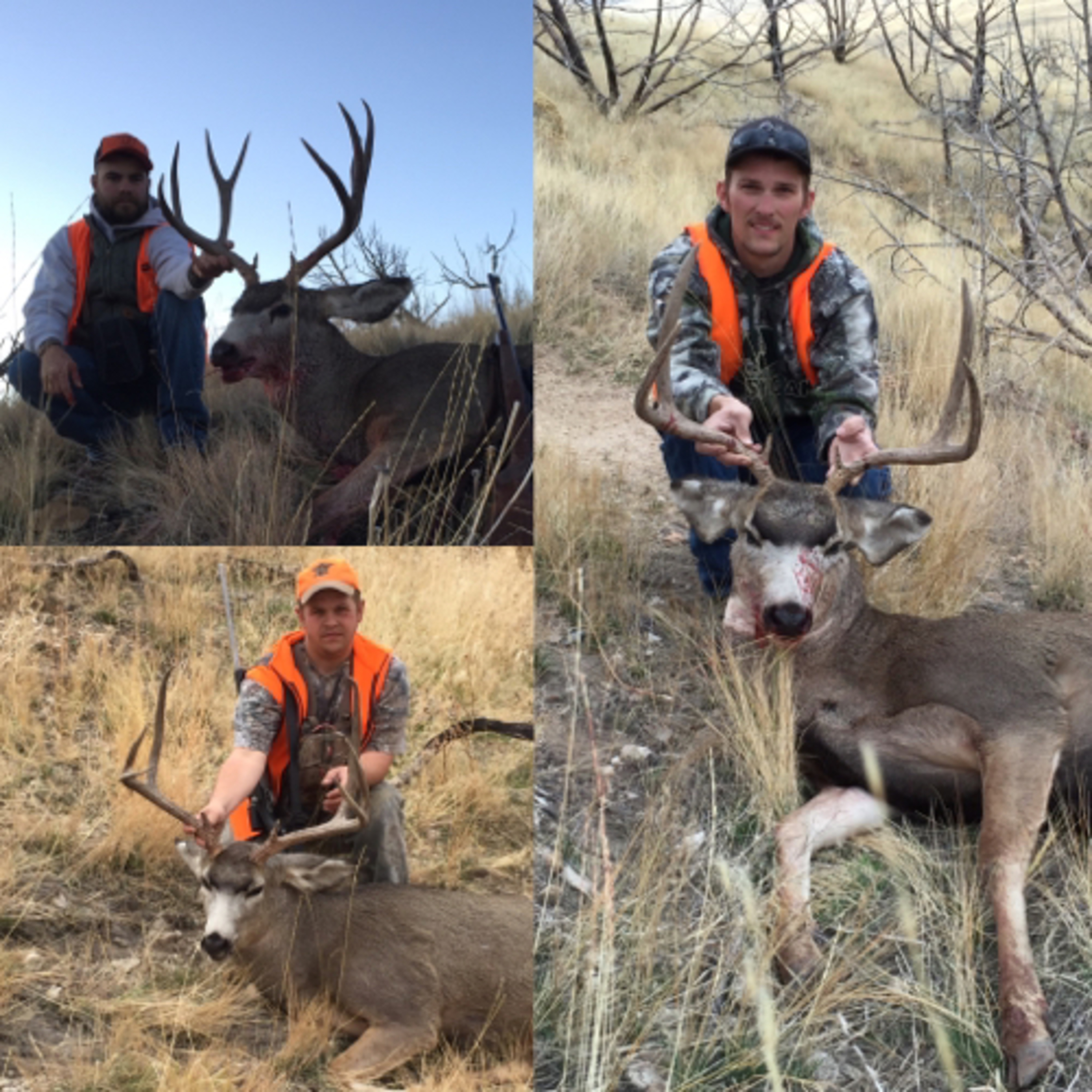 Rydalch Outdoors Podcast