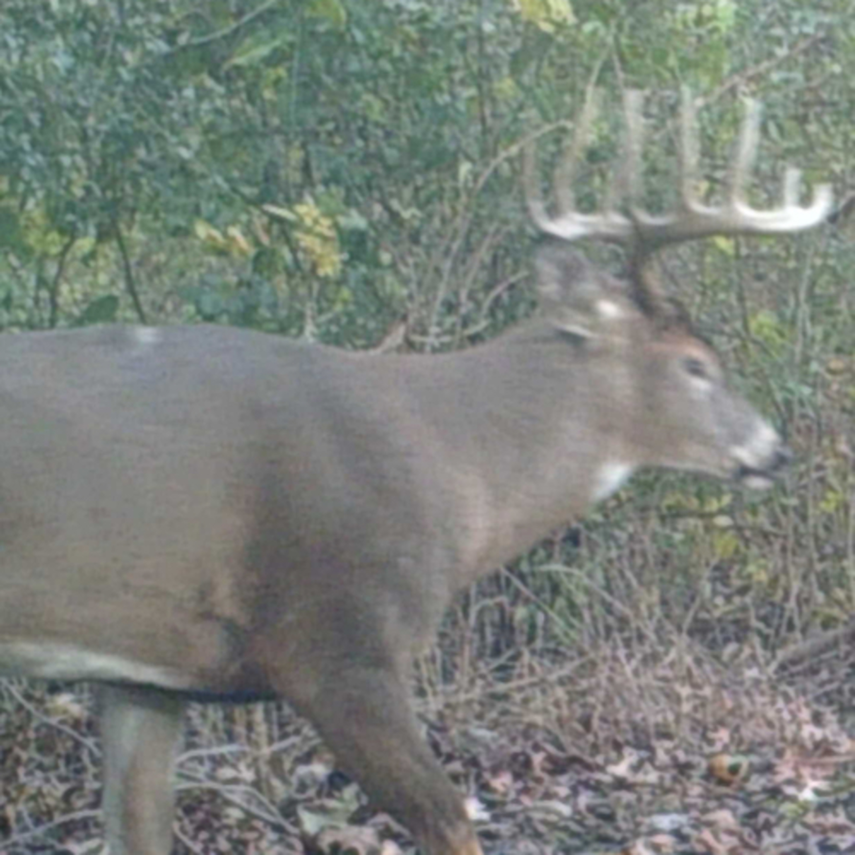 Rydalch Outdoors Podcast