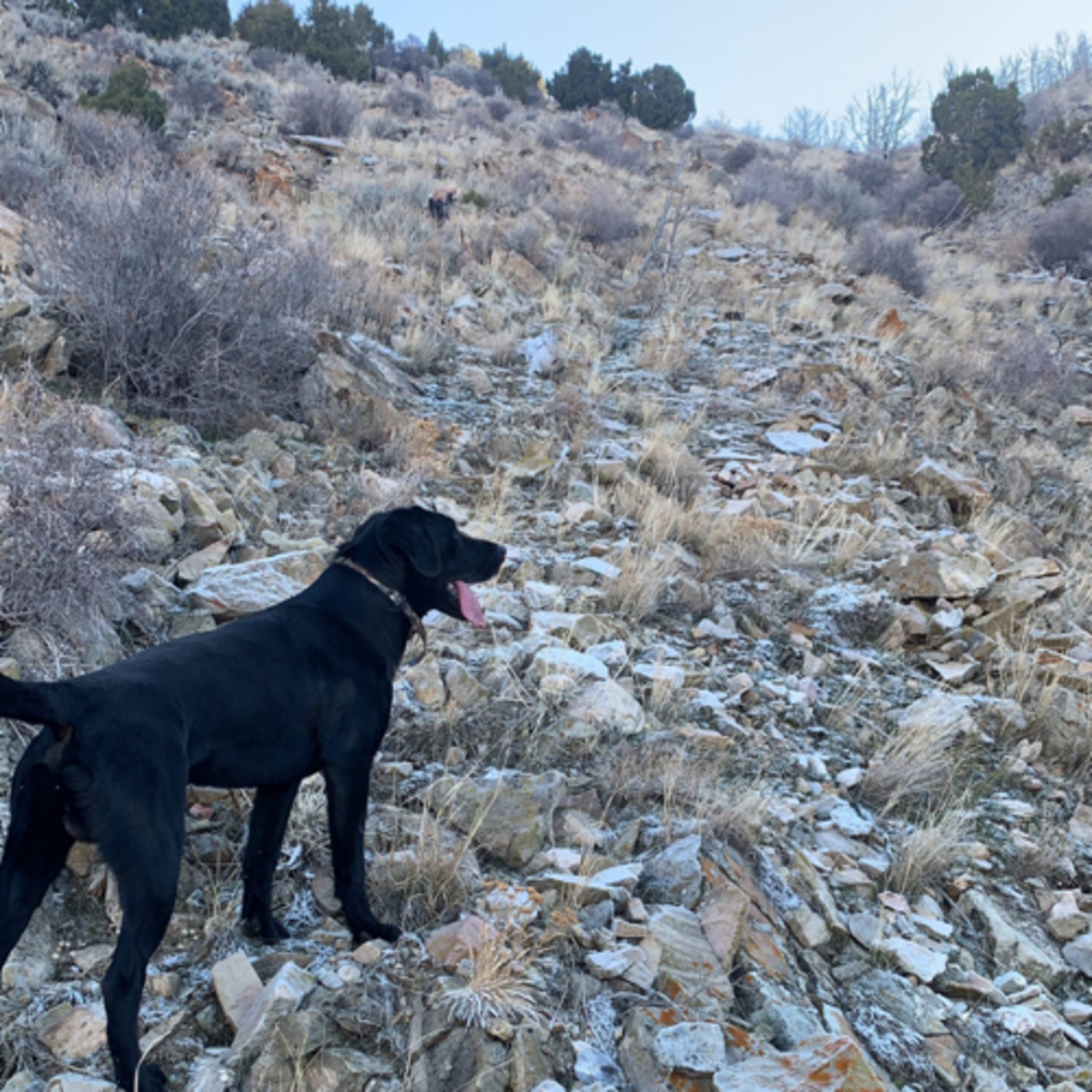 Rydalch Outdoors Podcast