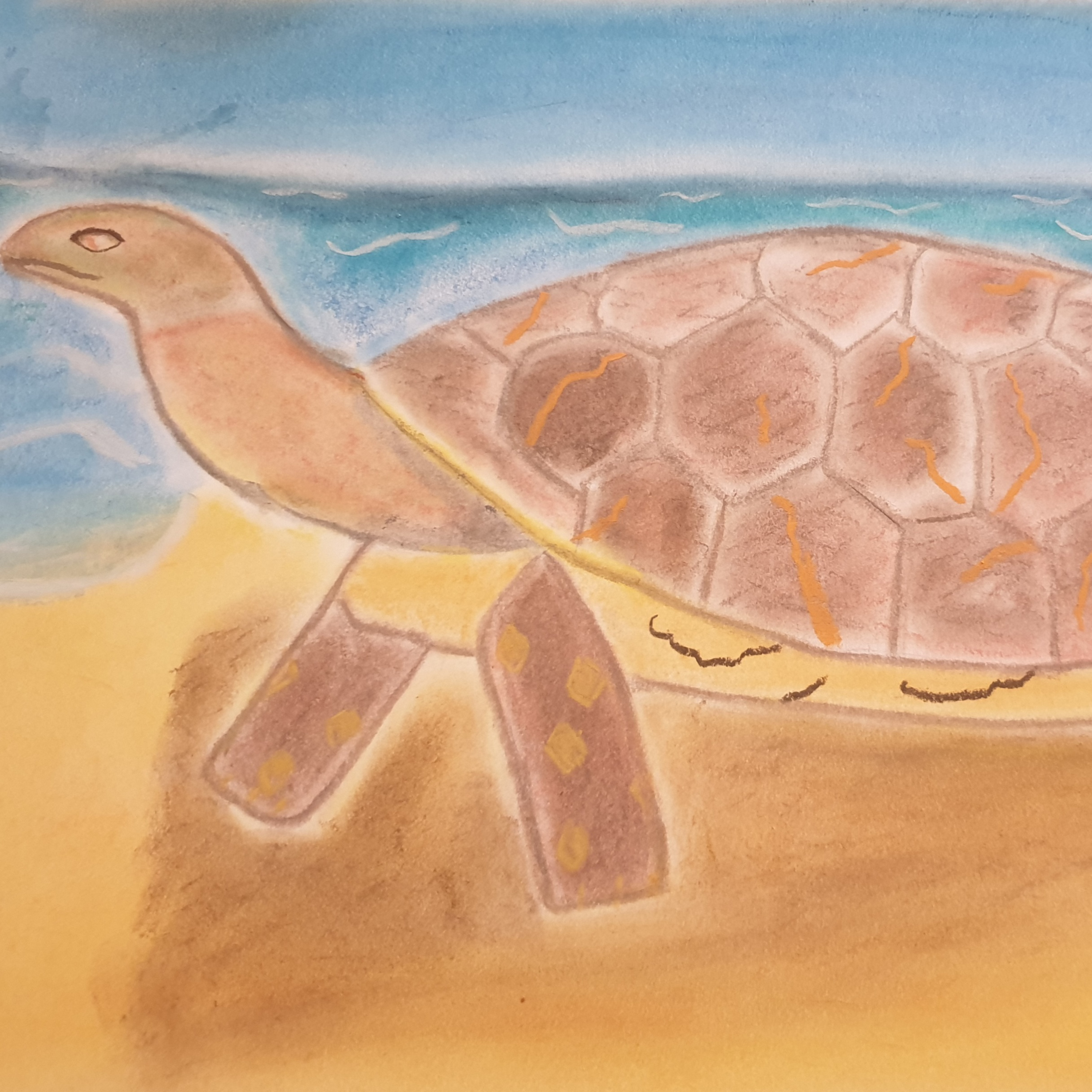 George, the Tortoise episode artwork