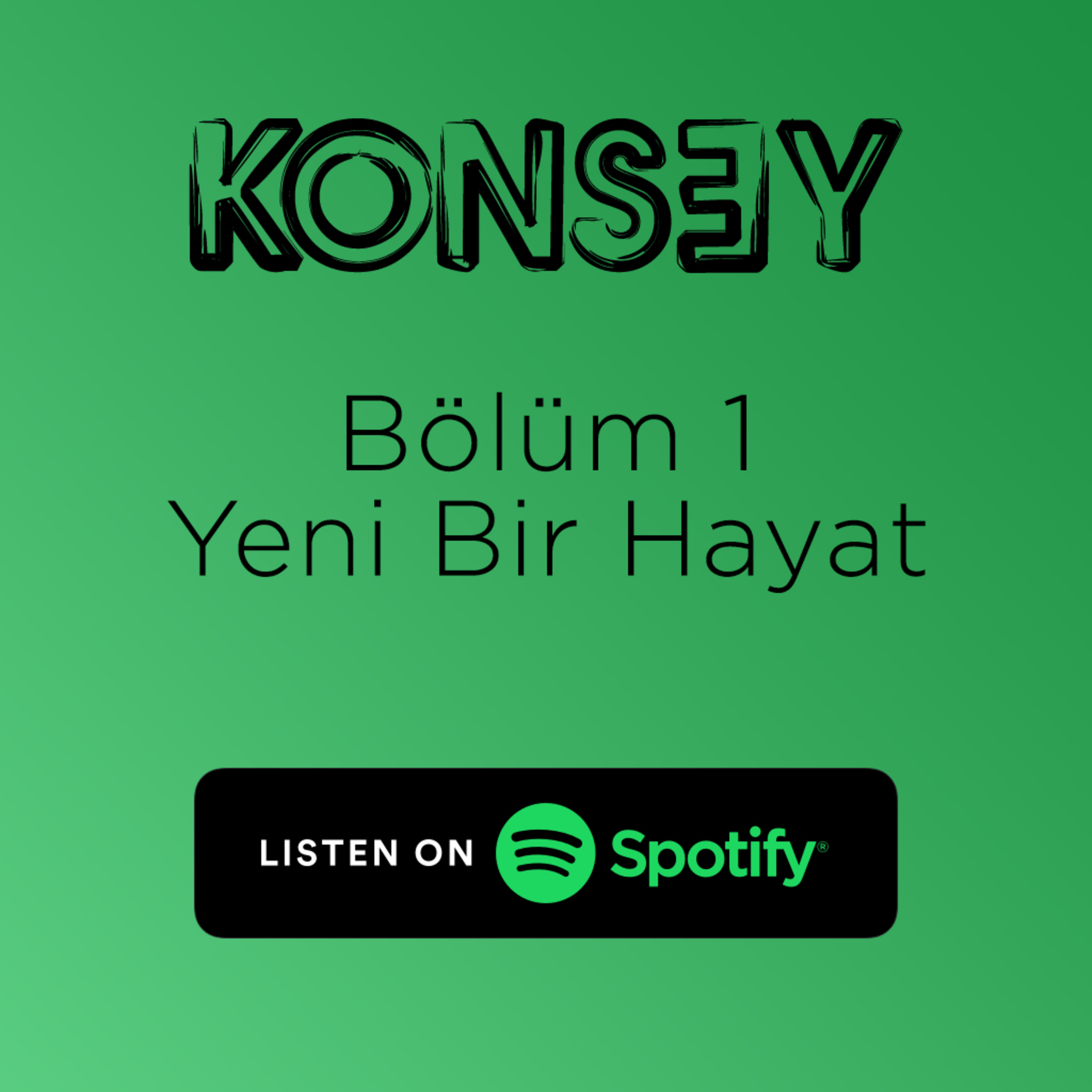 1-Yeni Bir Hayat episode artwork