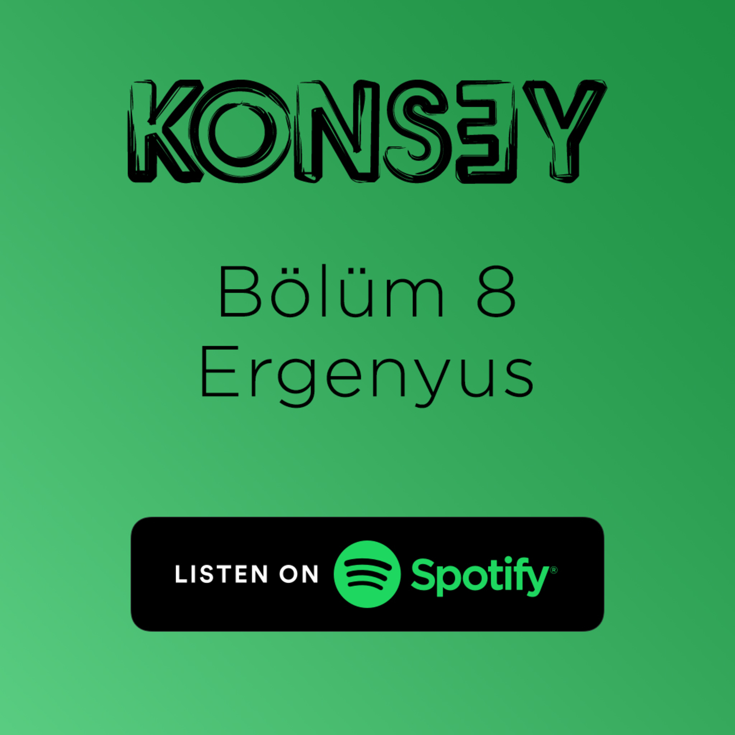 8-Ergenyus episode artwork