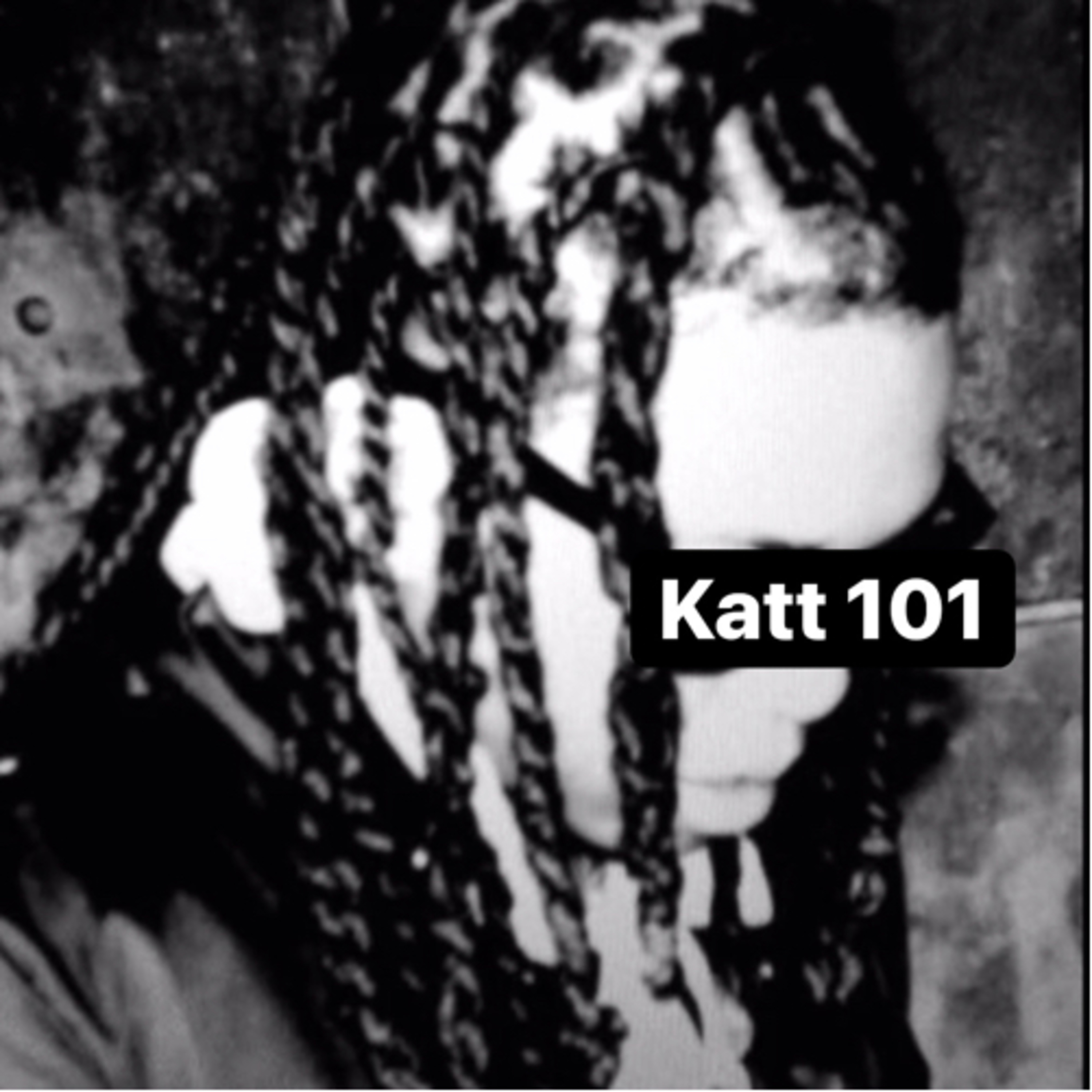 Katt 1 on 1