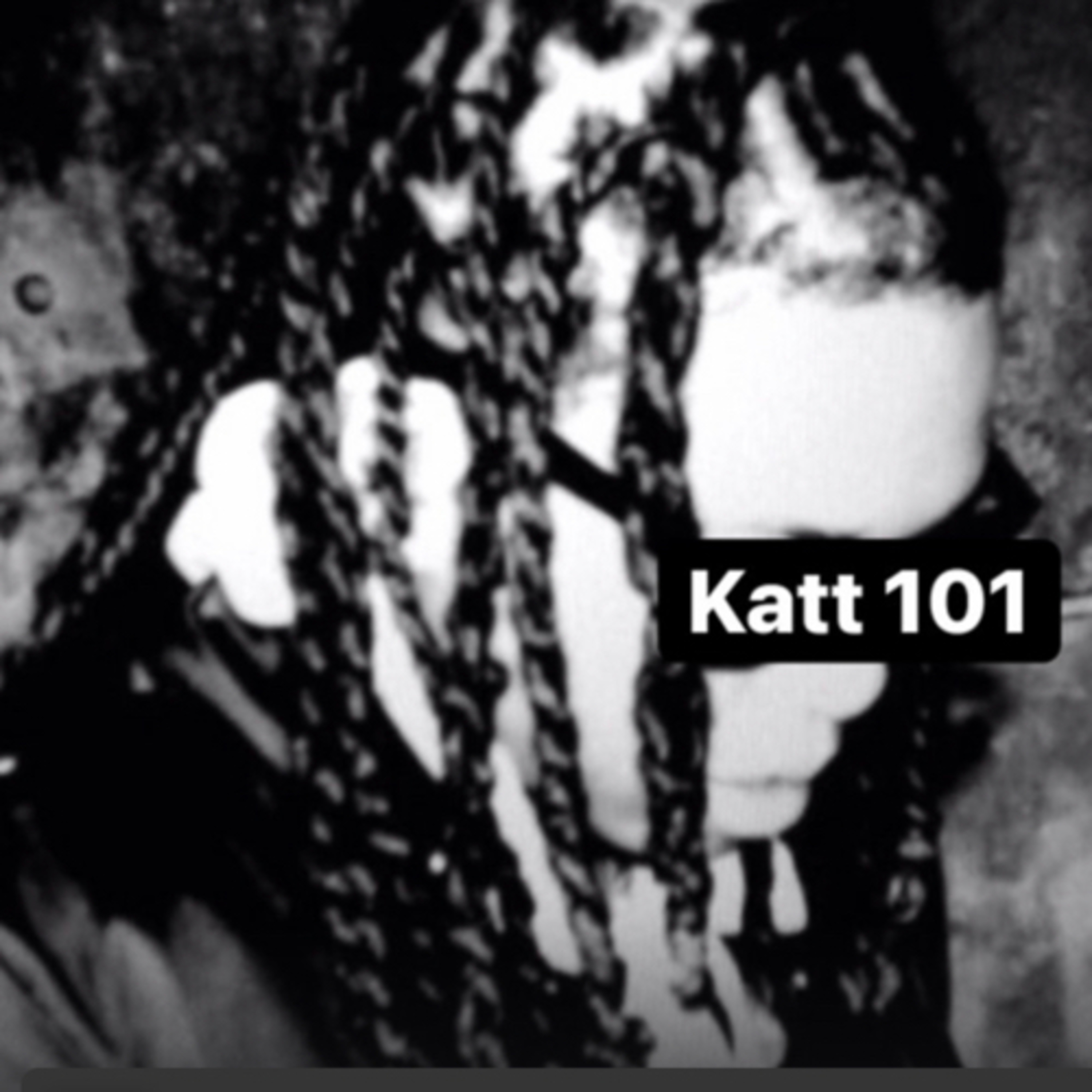 Katt 1 on 1