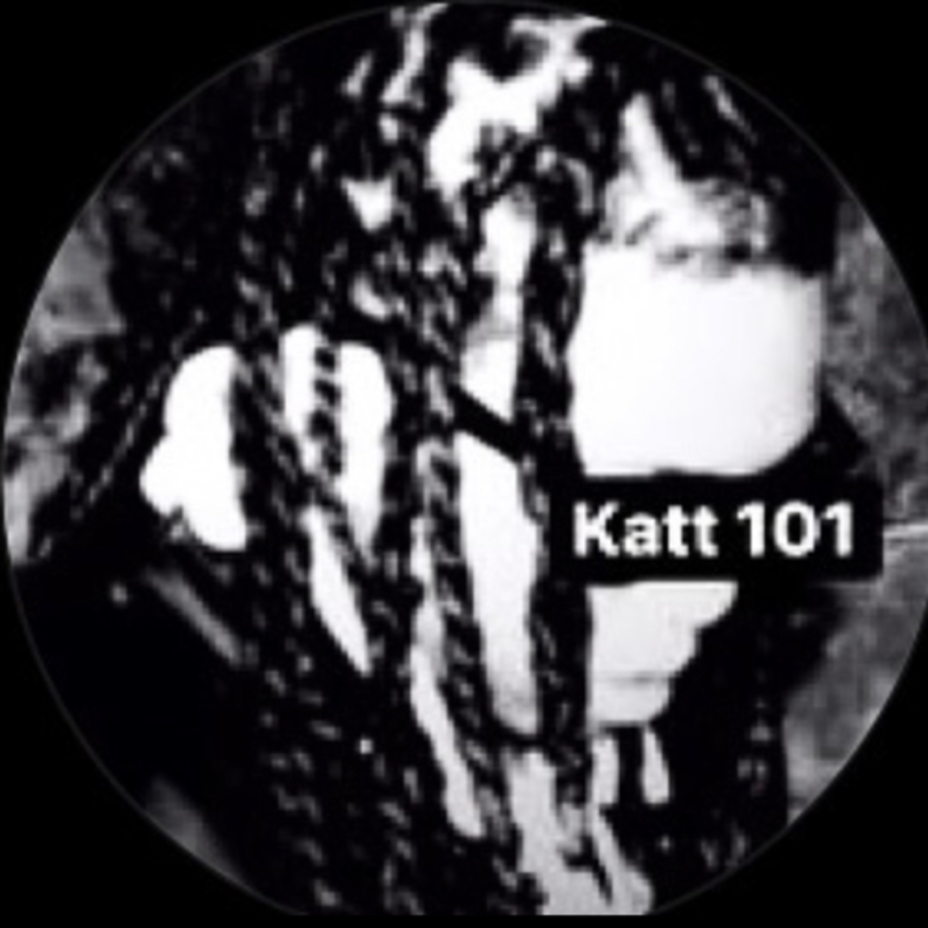 Katt 1 on 1