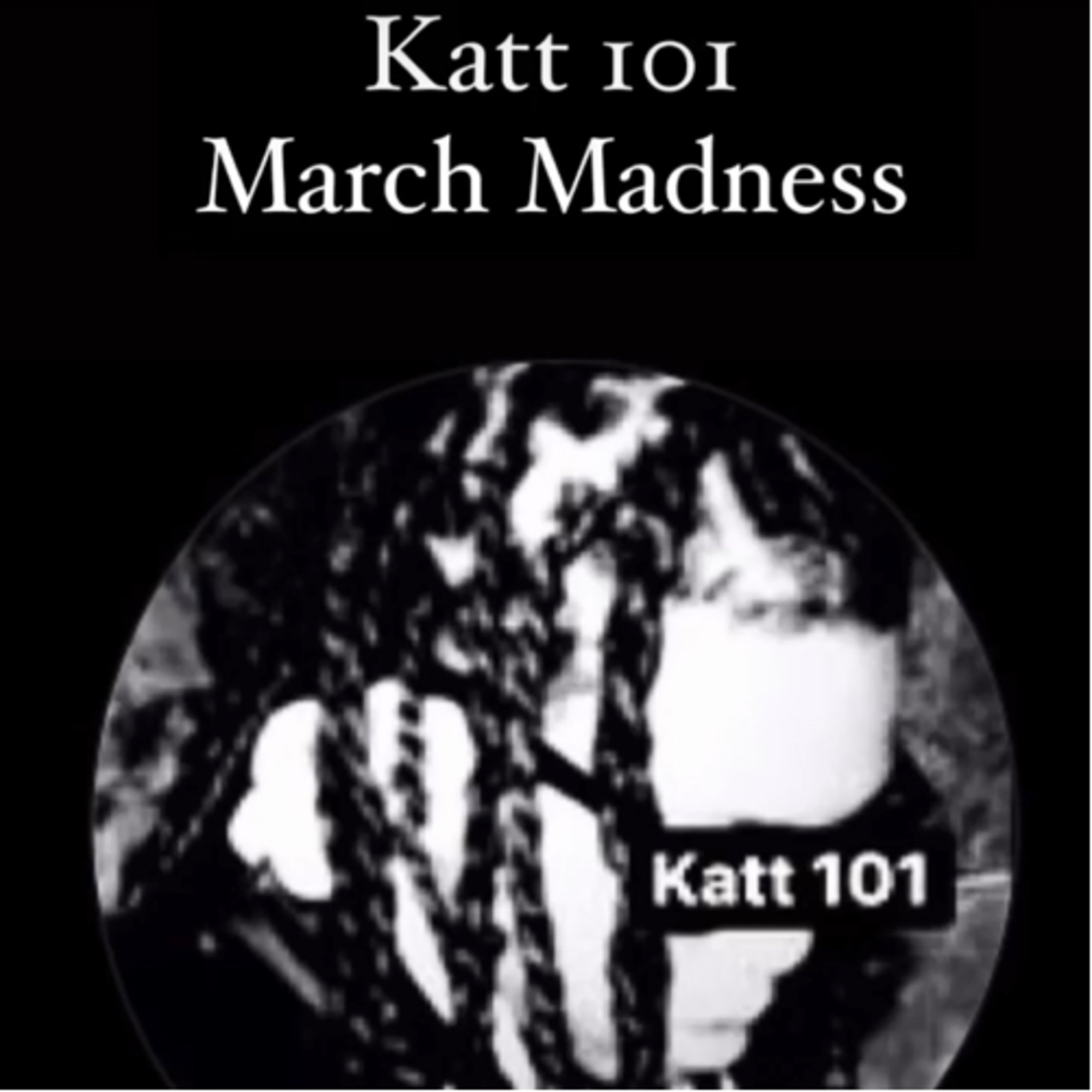 Katt 1 on 1