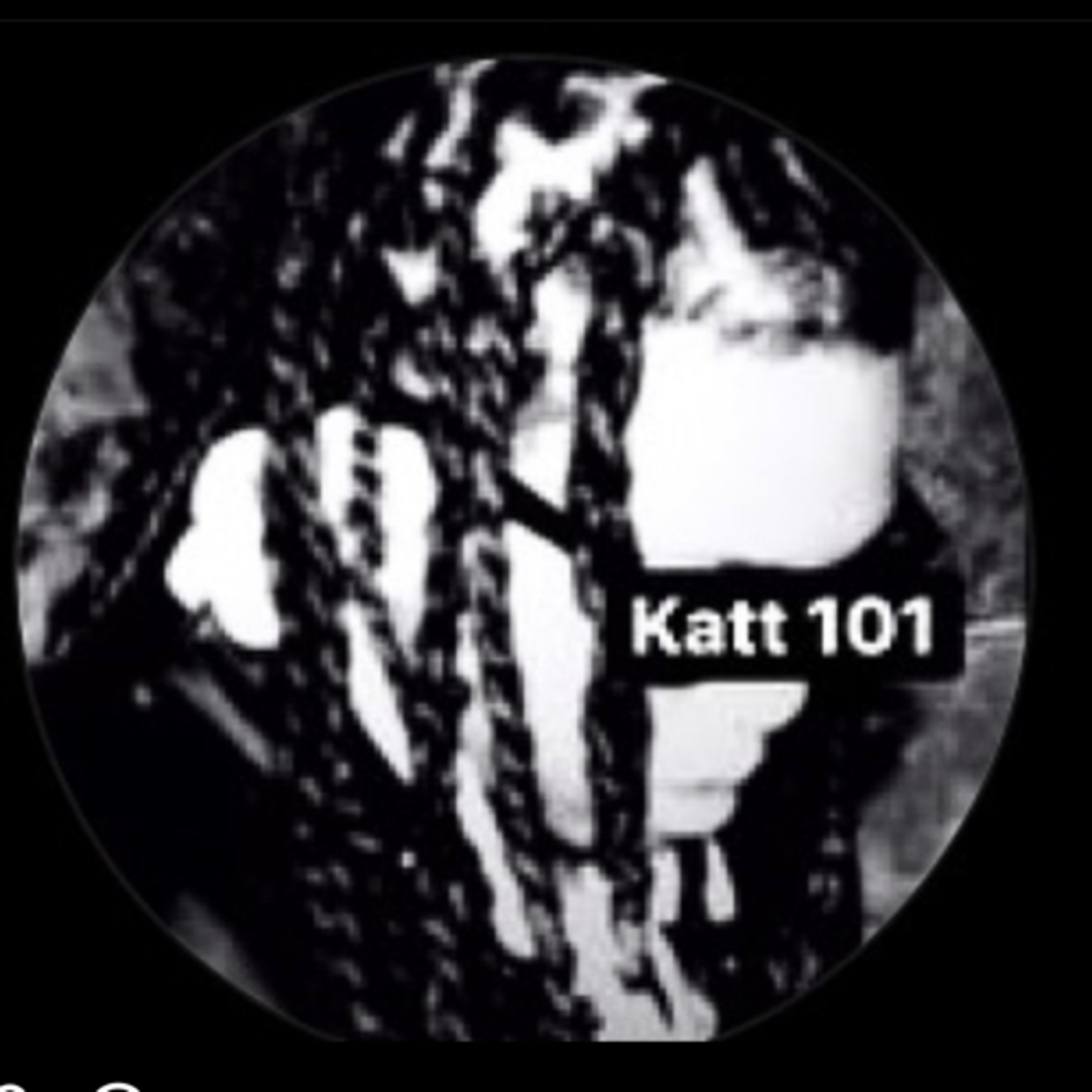 Katt 1 on 1