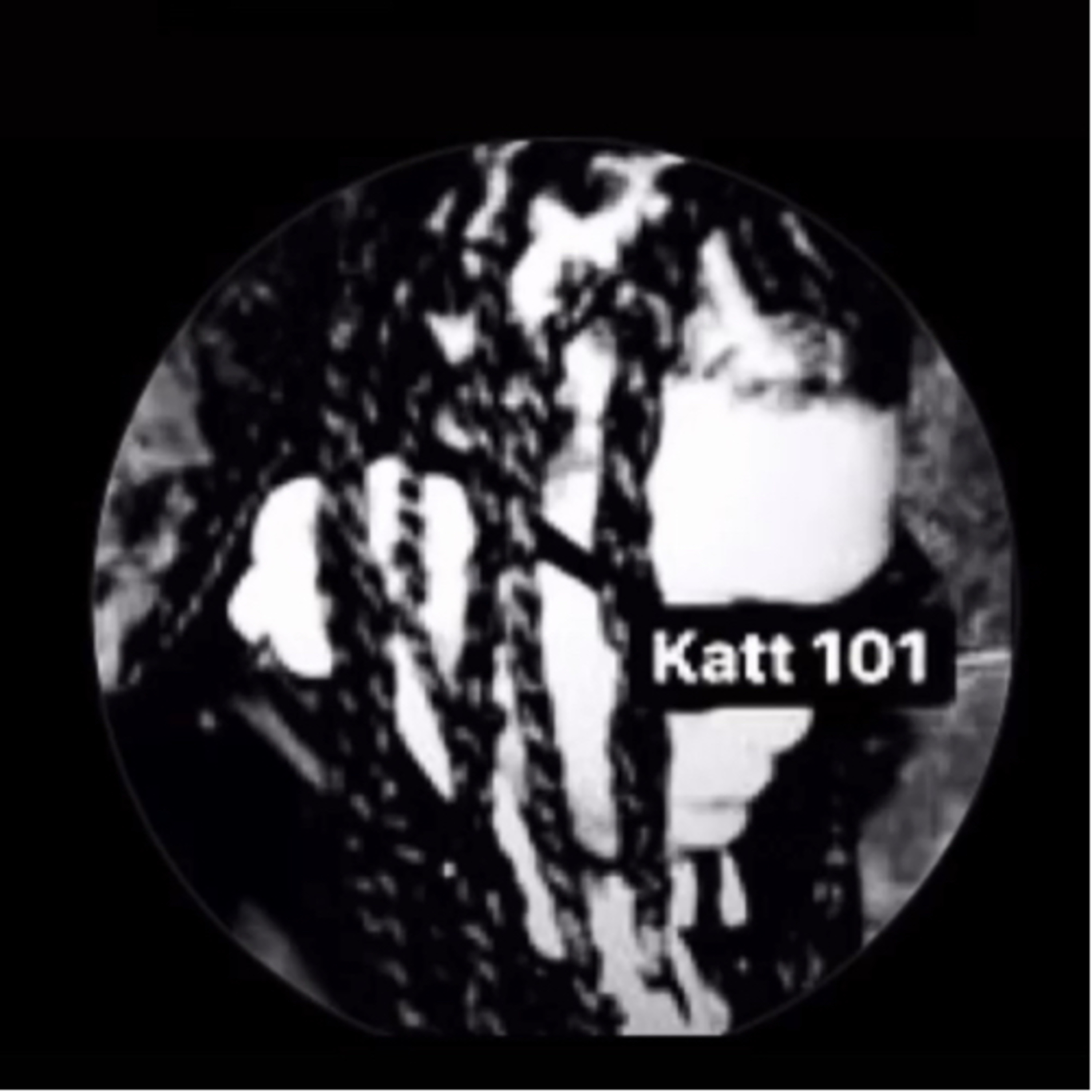 Katt 1 on 1
