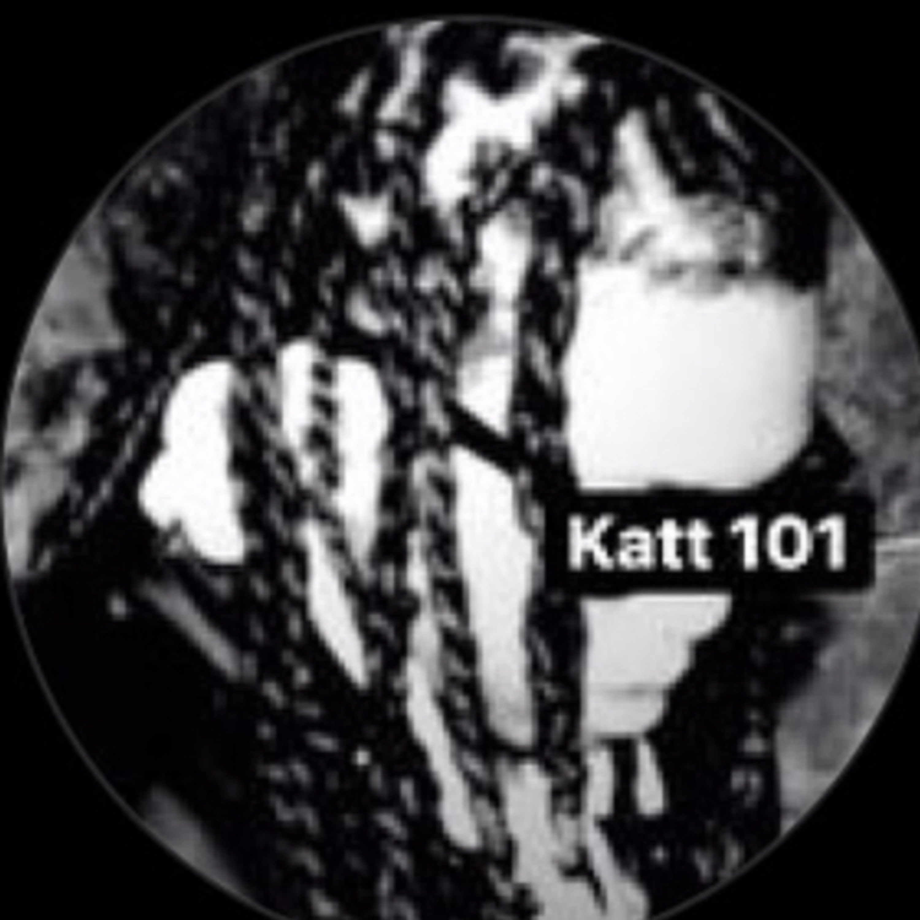 Katt 1 on 1