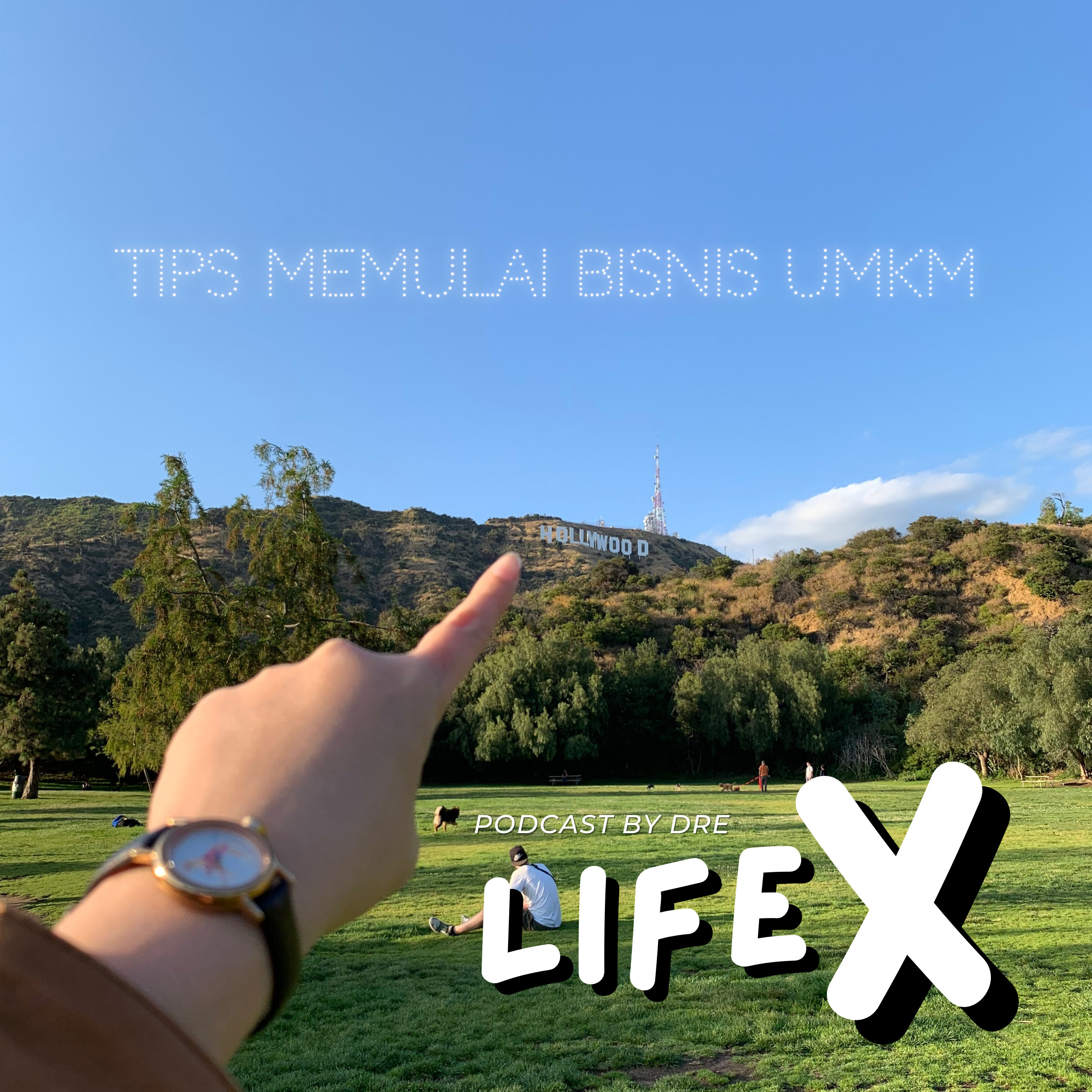 LifeX