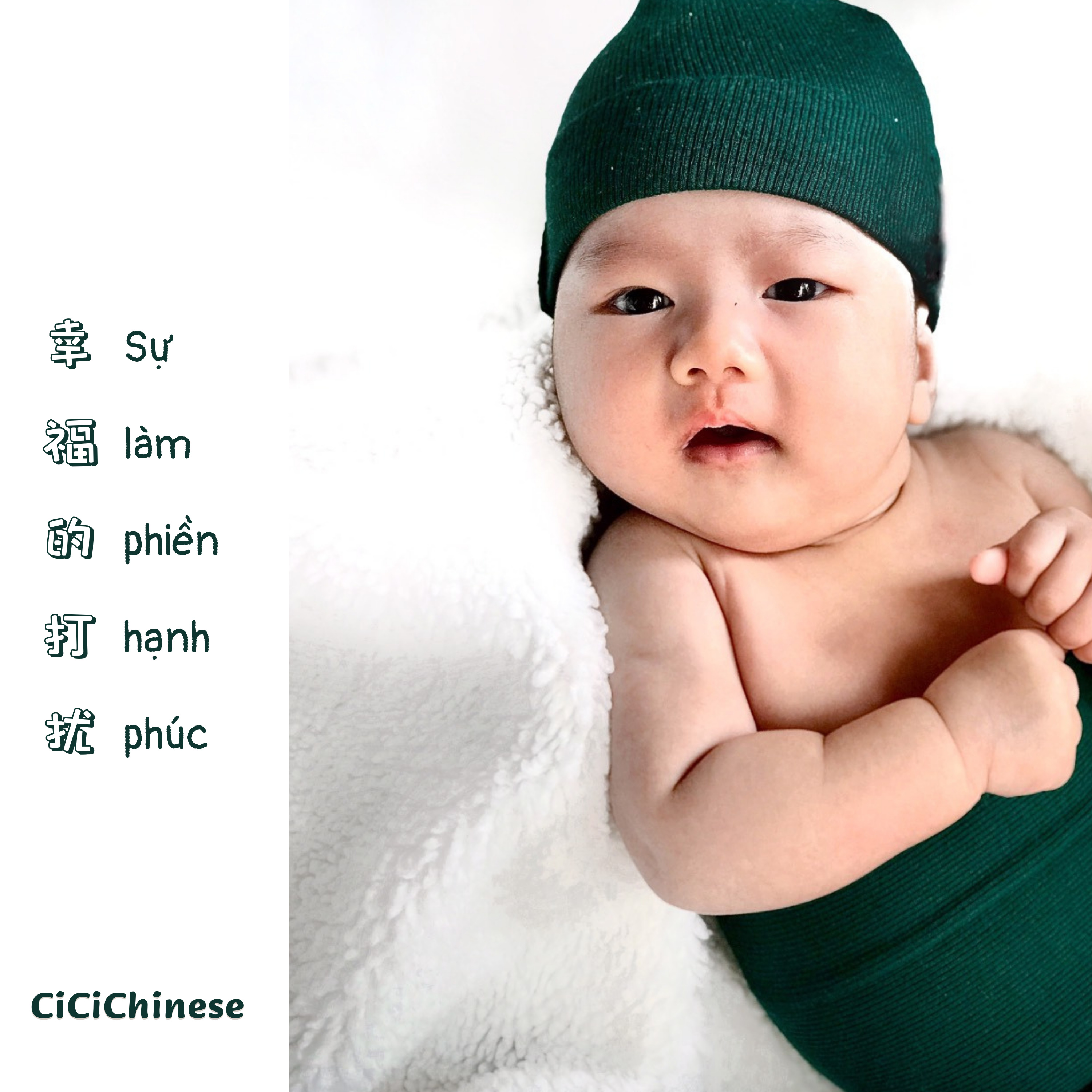 CiCi Chinese
