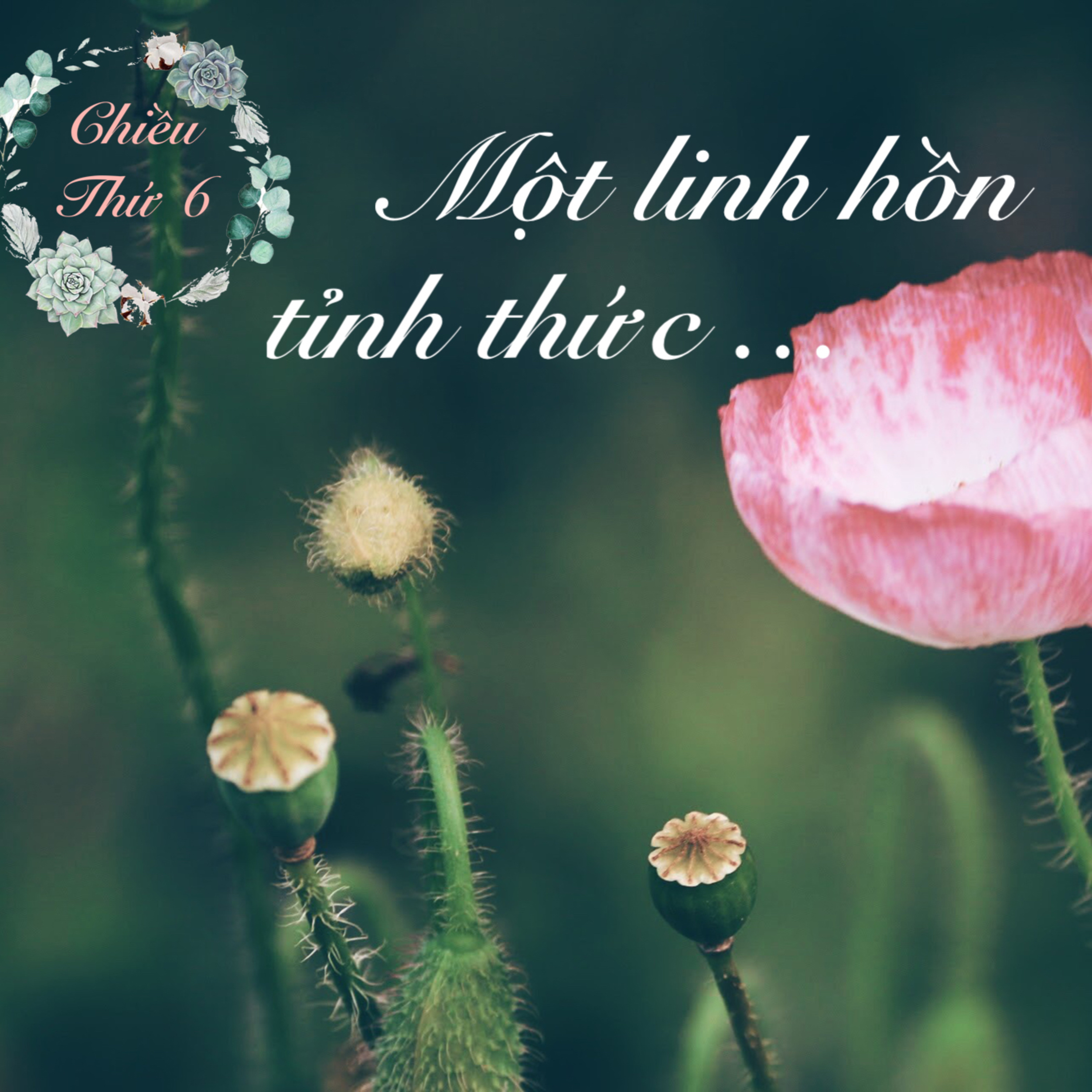 CHIỀU THỨ 6