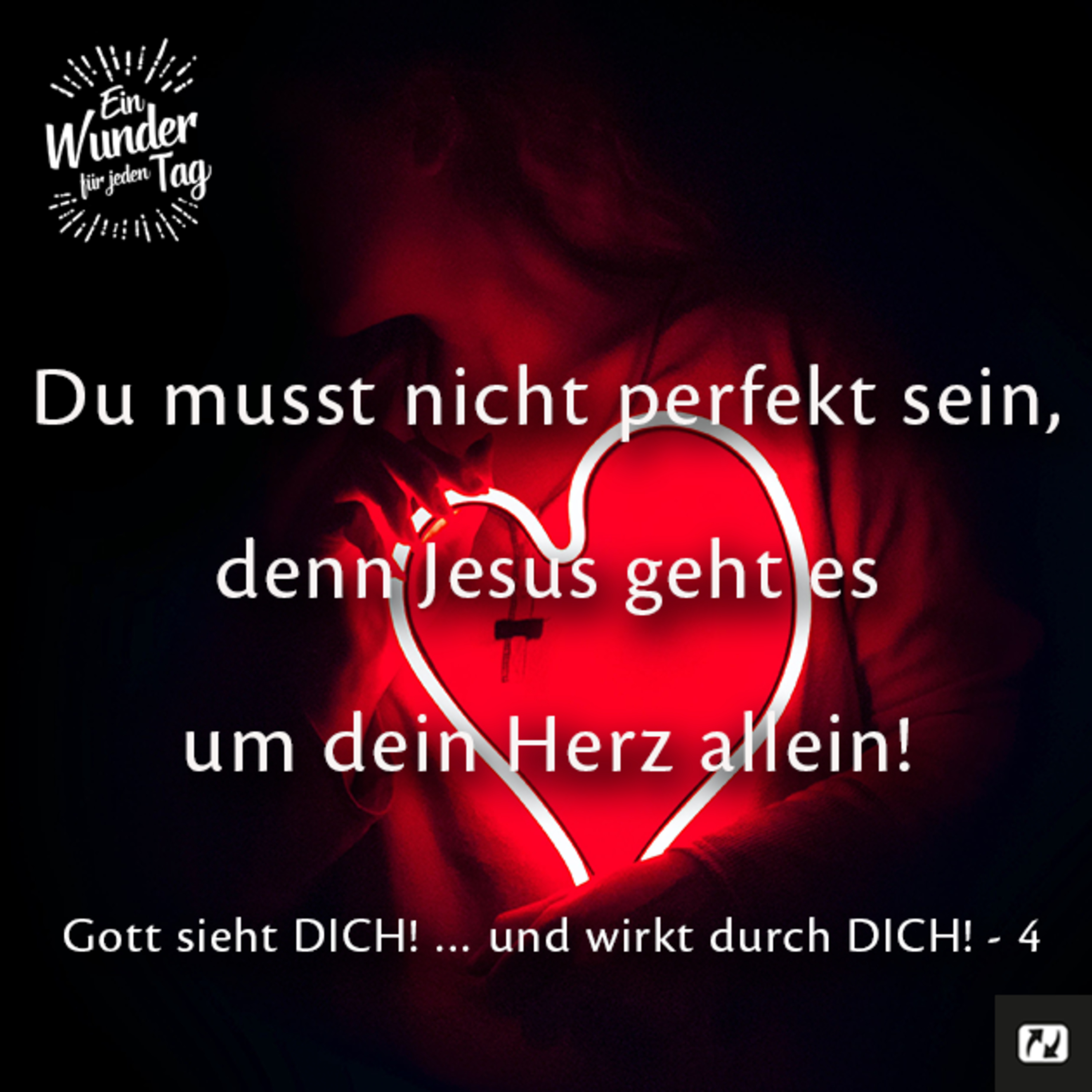 Ein Wunder für jeden Tag