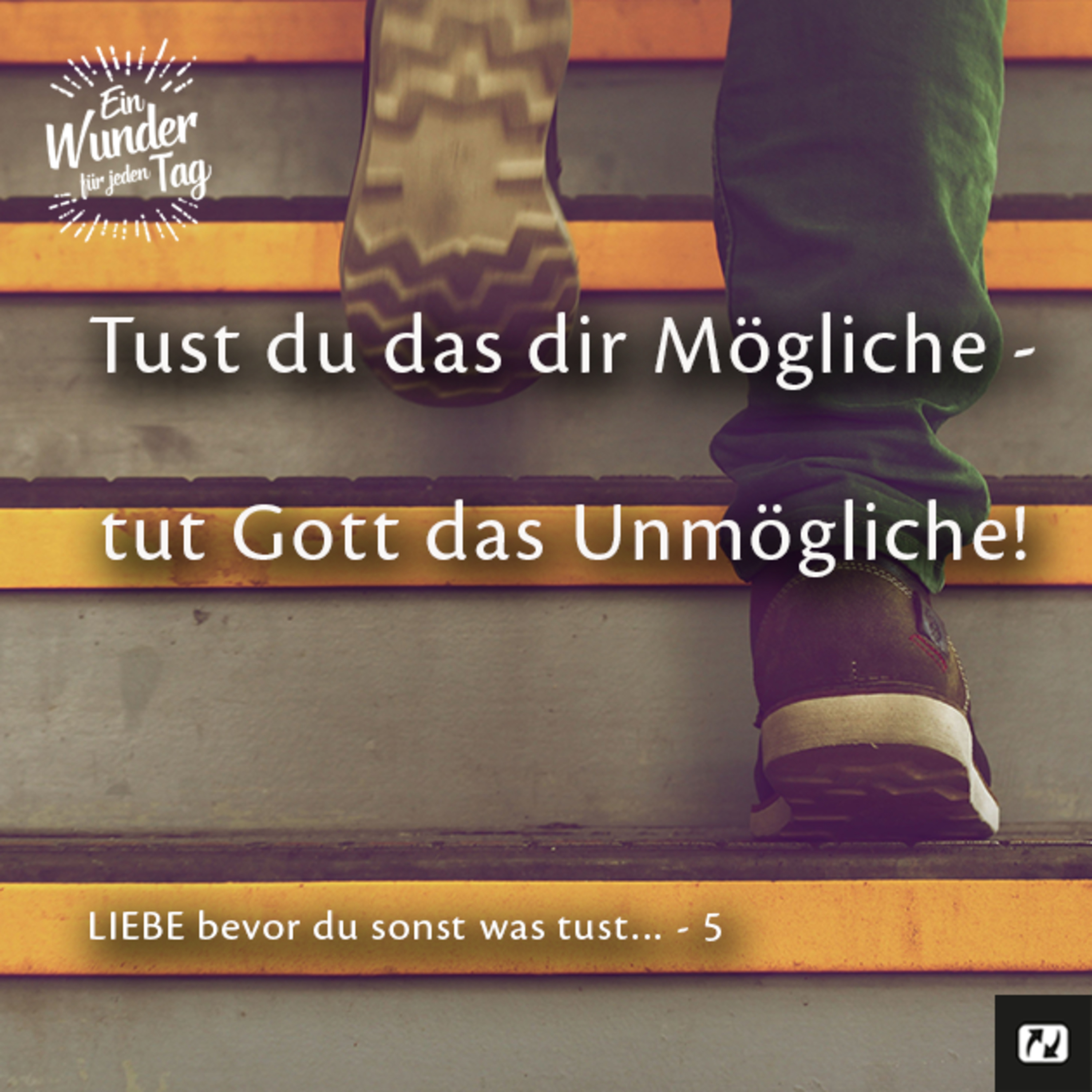 Ein Wunder für jeden Tag