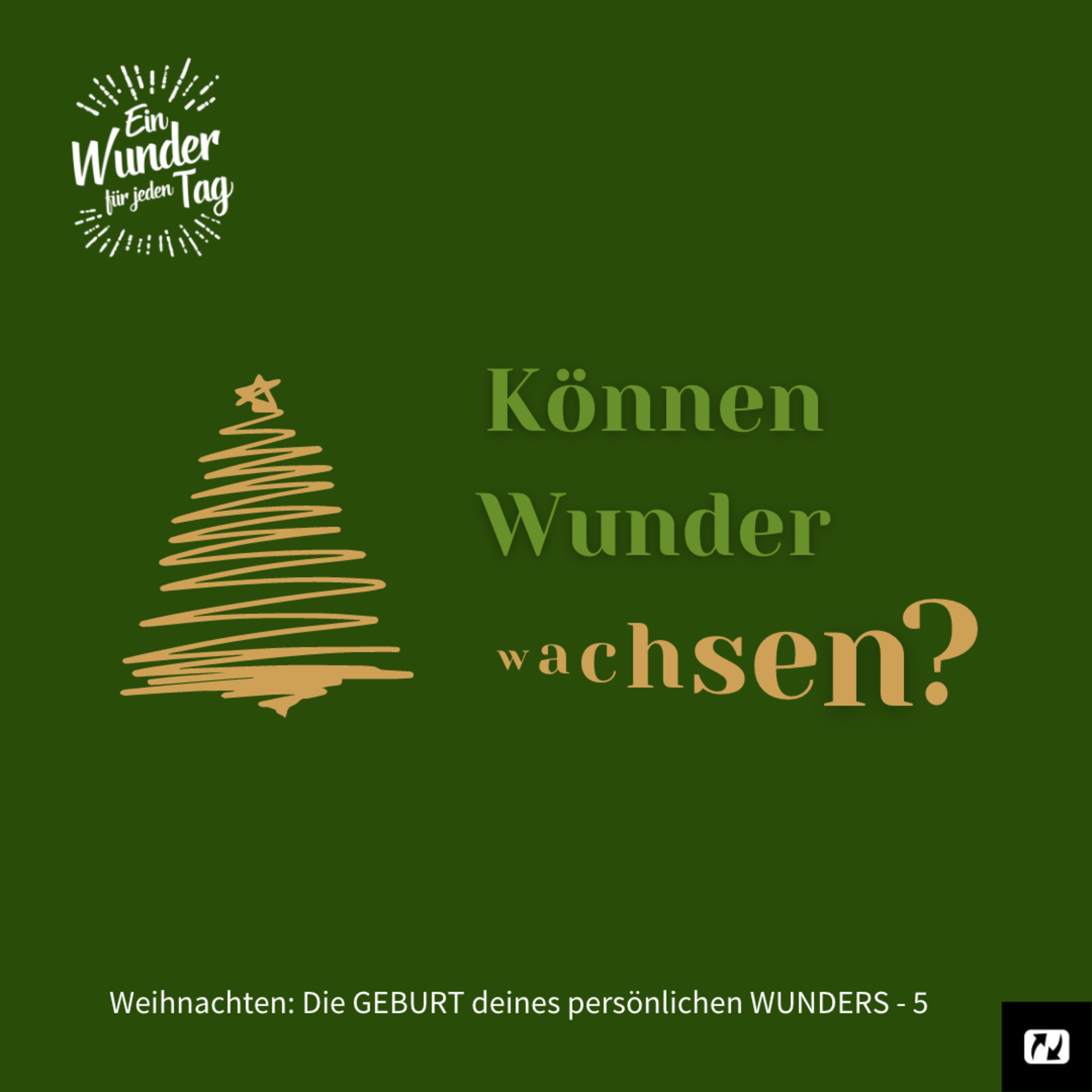 Ein Wunder für jeden Tag