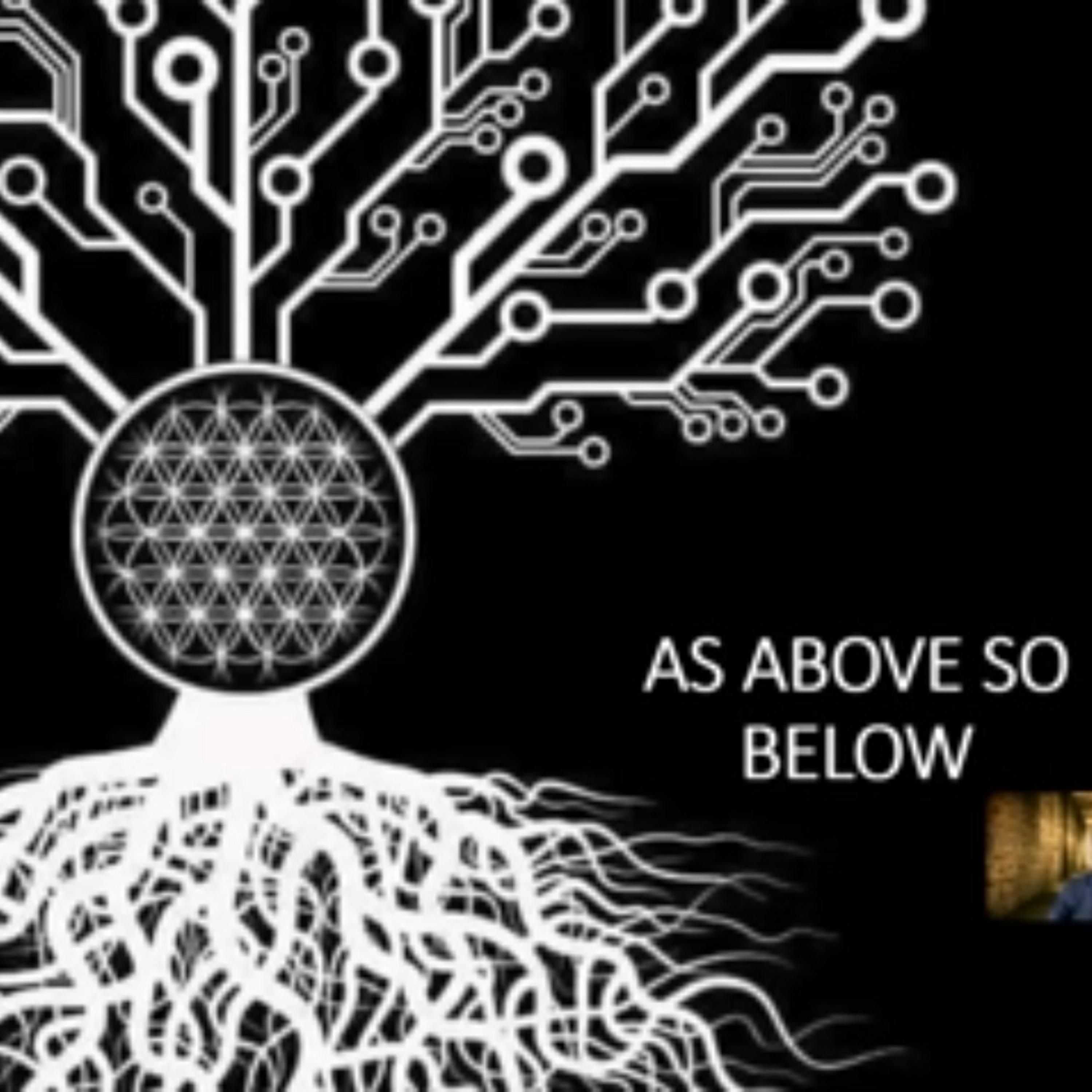 #TRISTA4SHERIFF + Prez! POLITICSAF!🔥HOT ON TRAIL OF💩🤡 GOIN2FNJAIL!🔐#art #music #CoMeDy #HERstory