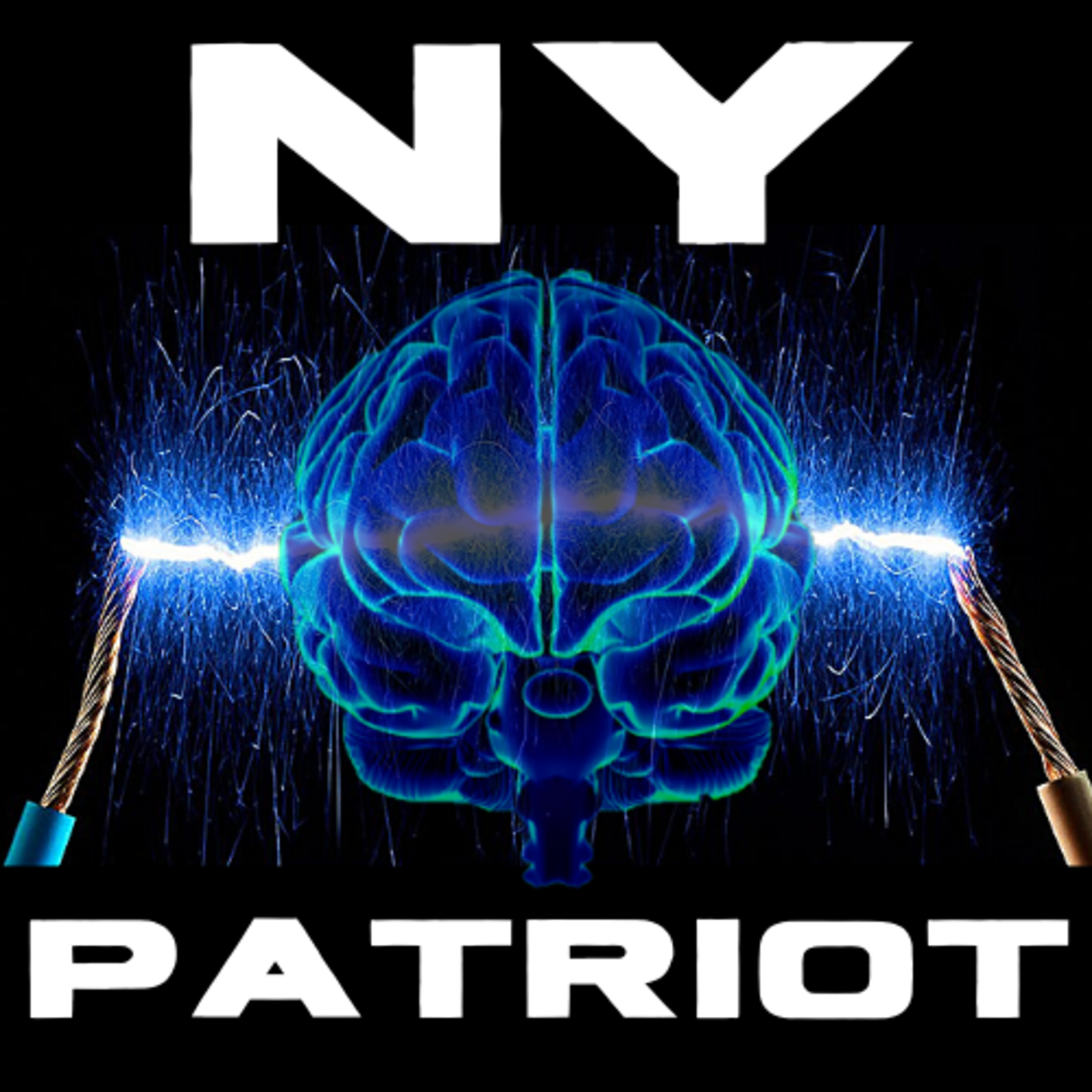 Meeting of the Minds- NY Patriot, Moral bob, Oddman, Great Deception, and Snobby Bobby episode artwork