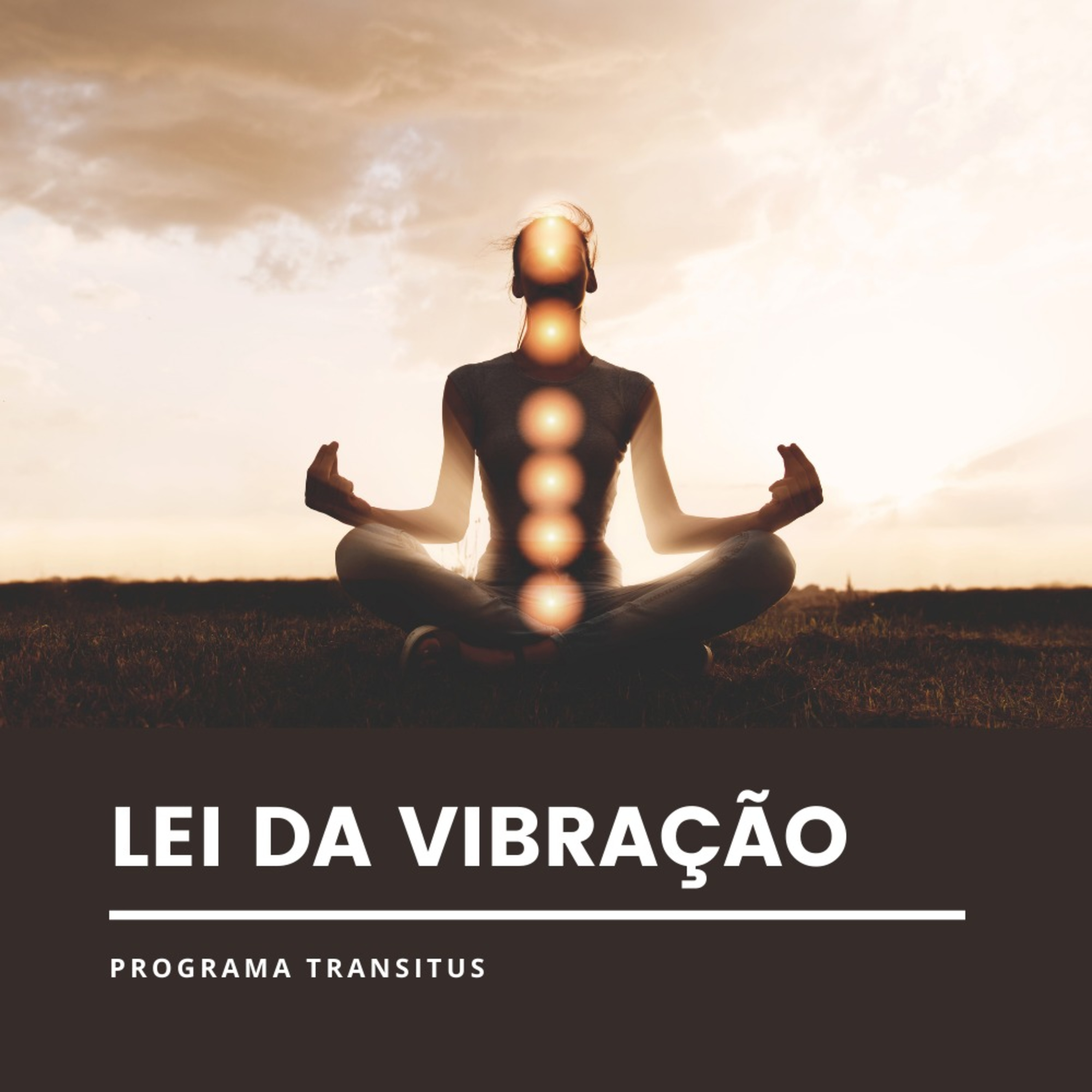 Transitus : Lei da Atração  episode artwork