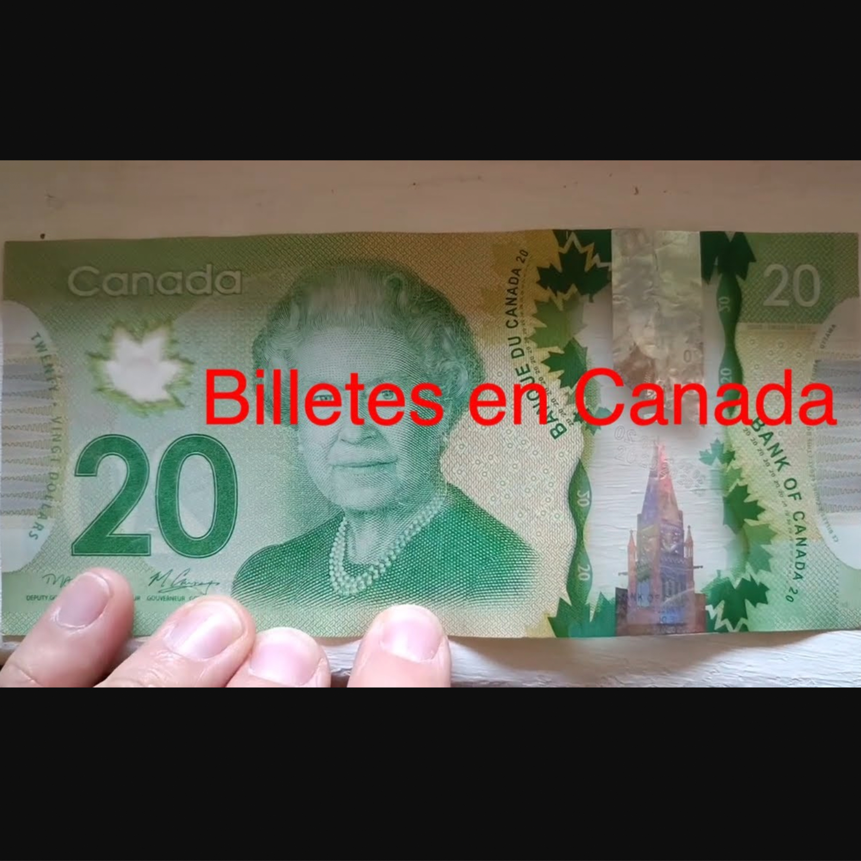 Episodio 83. Como son los billetes Canadienses episode artwork