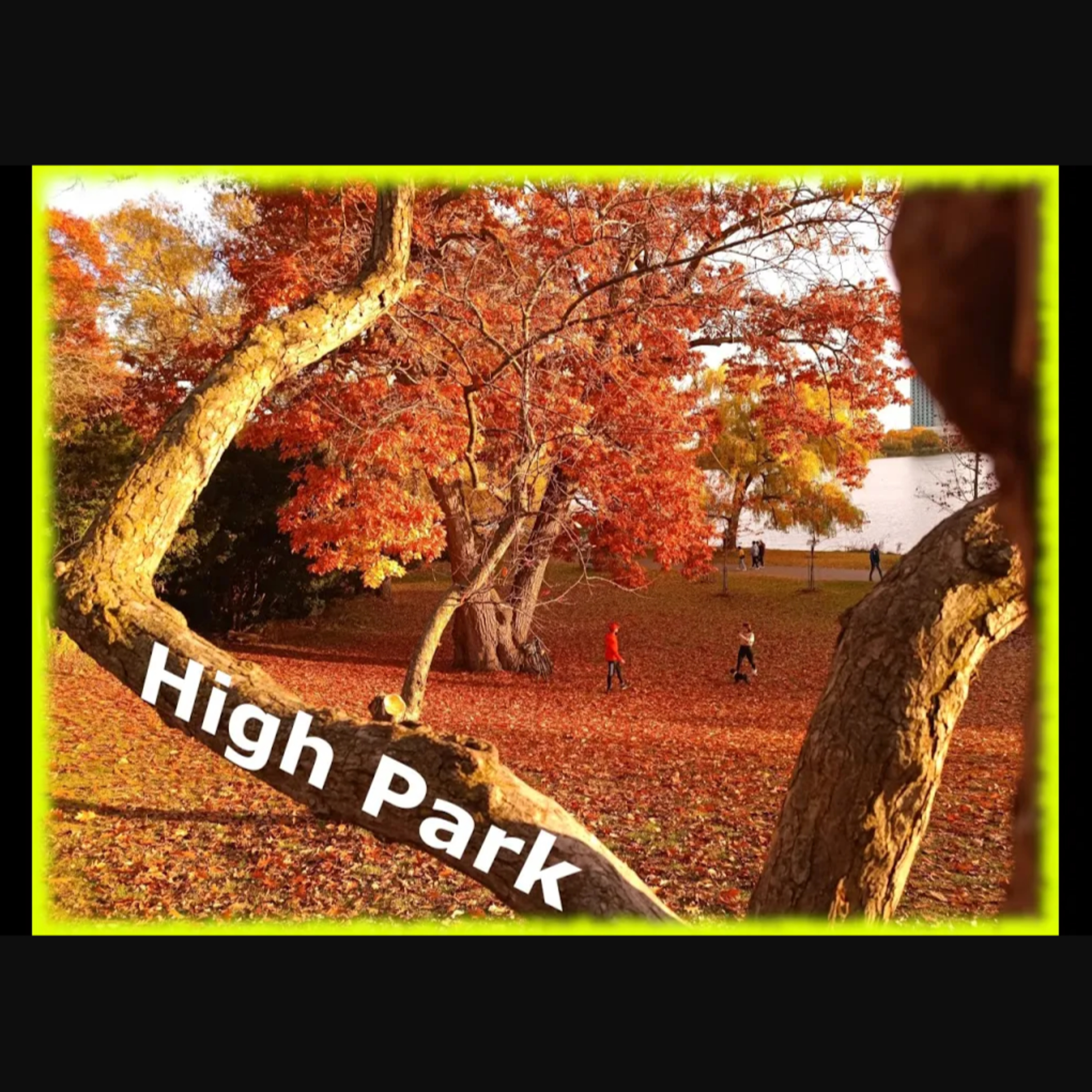 Episodio 96. Espectaculares paisajes de COLORES en High Park Toronto.  episode artwork