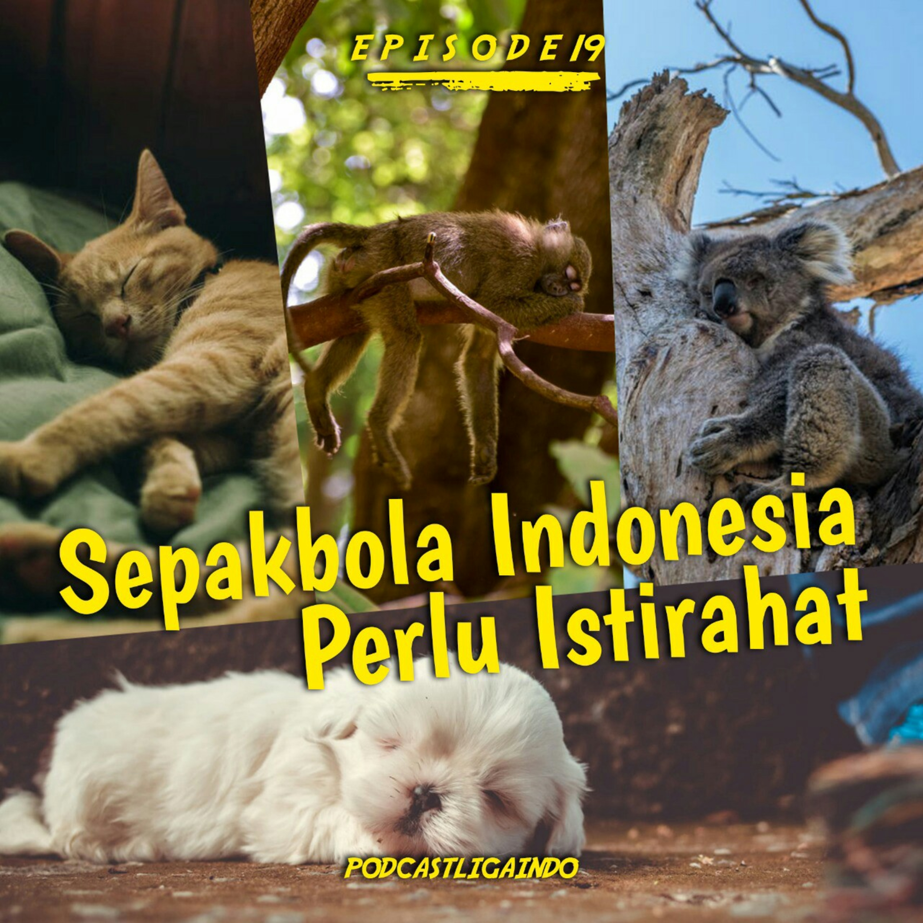 Podcast Liga Indo
