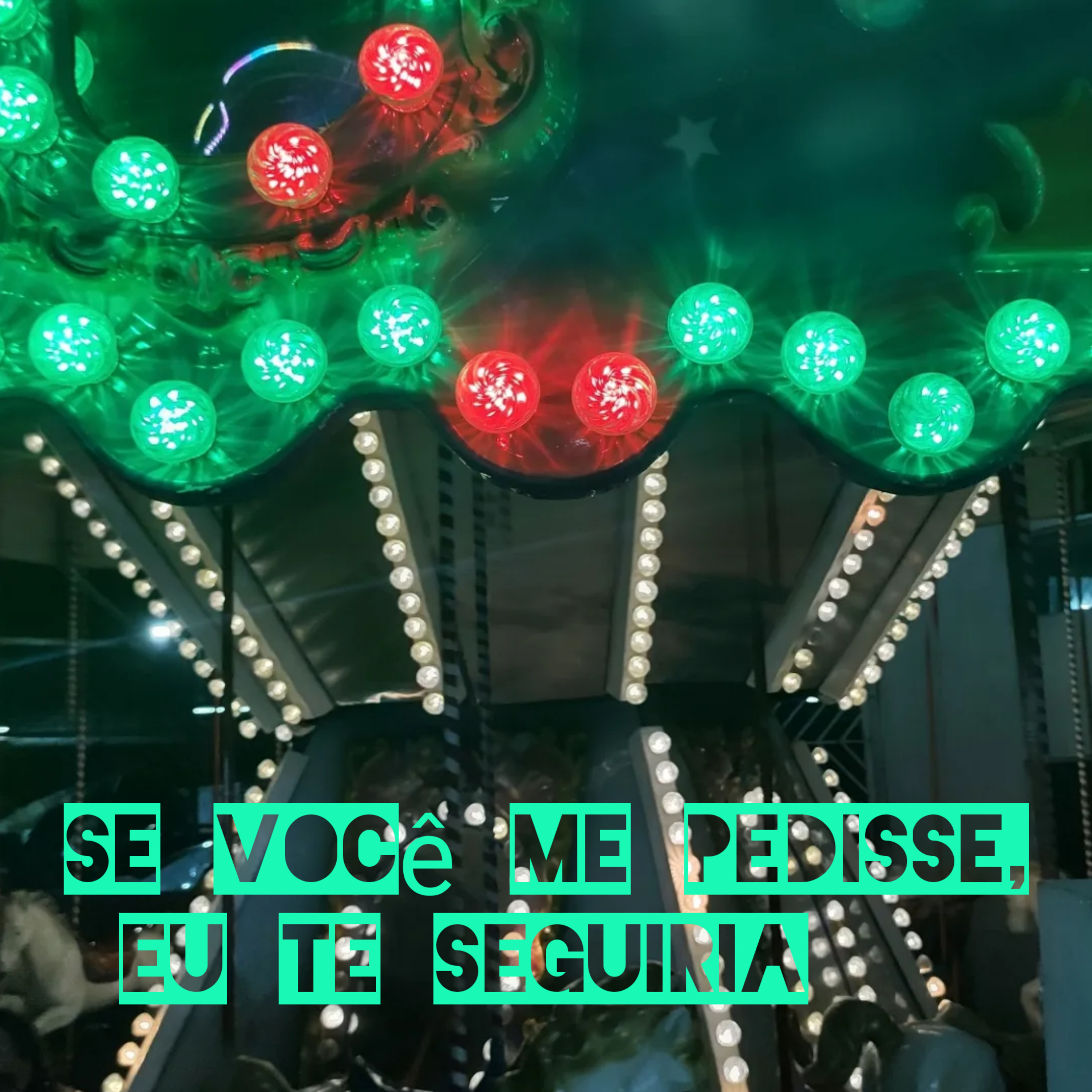 Meu Sobrenome É Vida