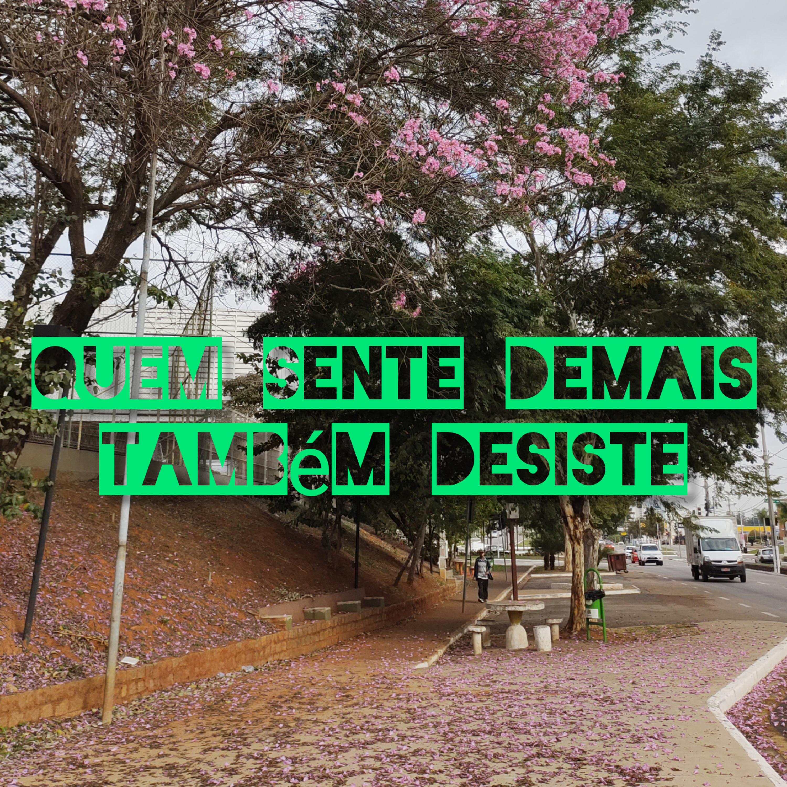 Meu Sobrenome É Vida