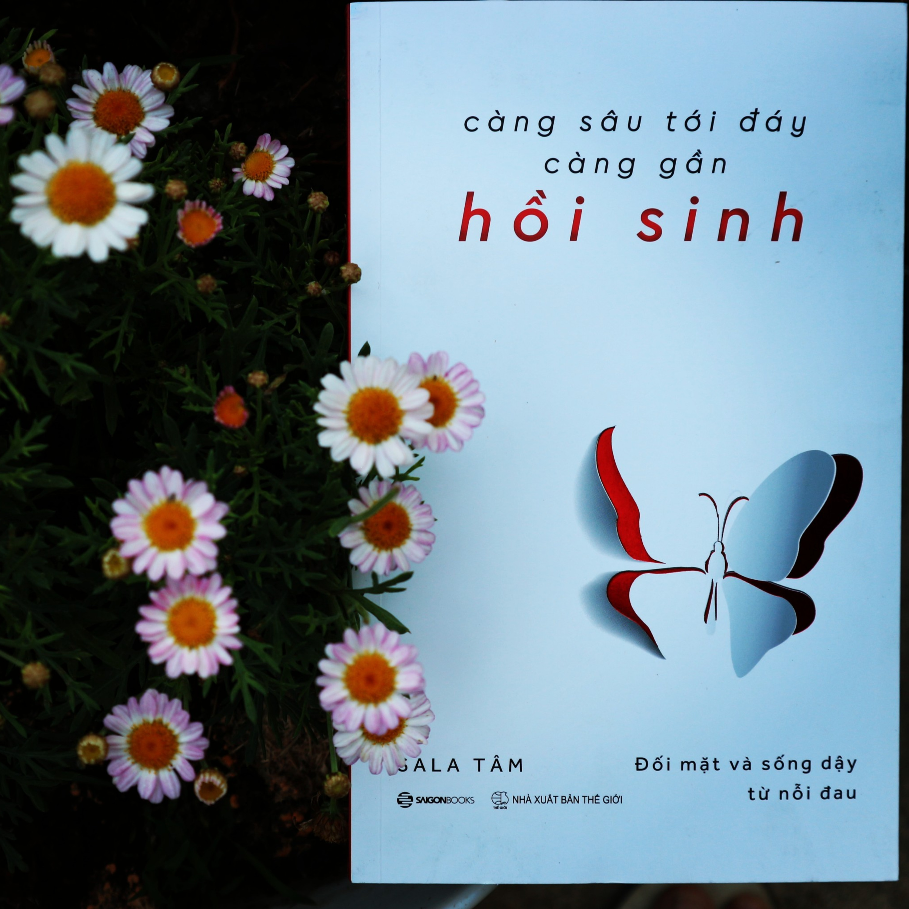 Nhà Sala - Mình nghe đây