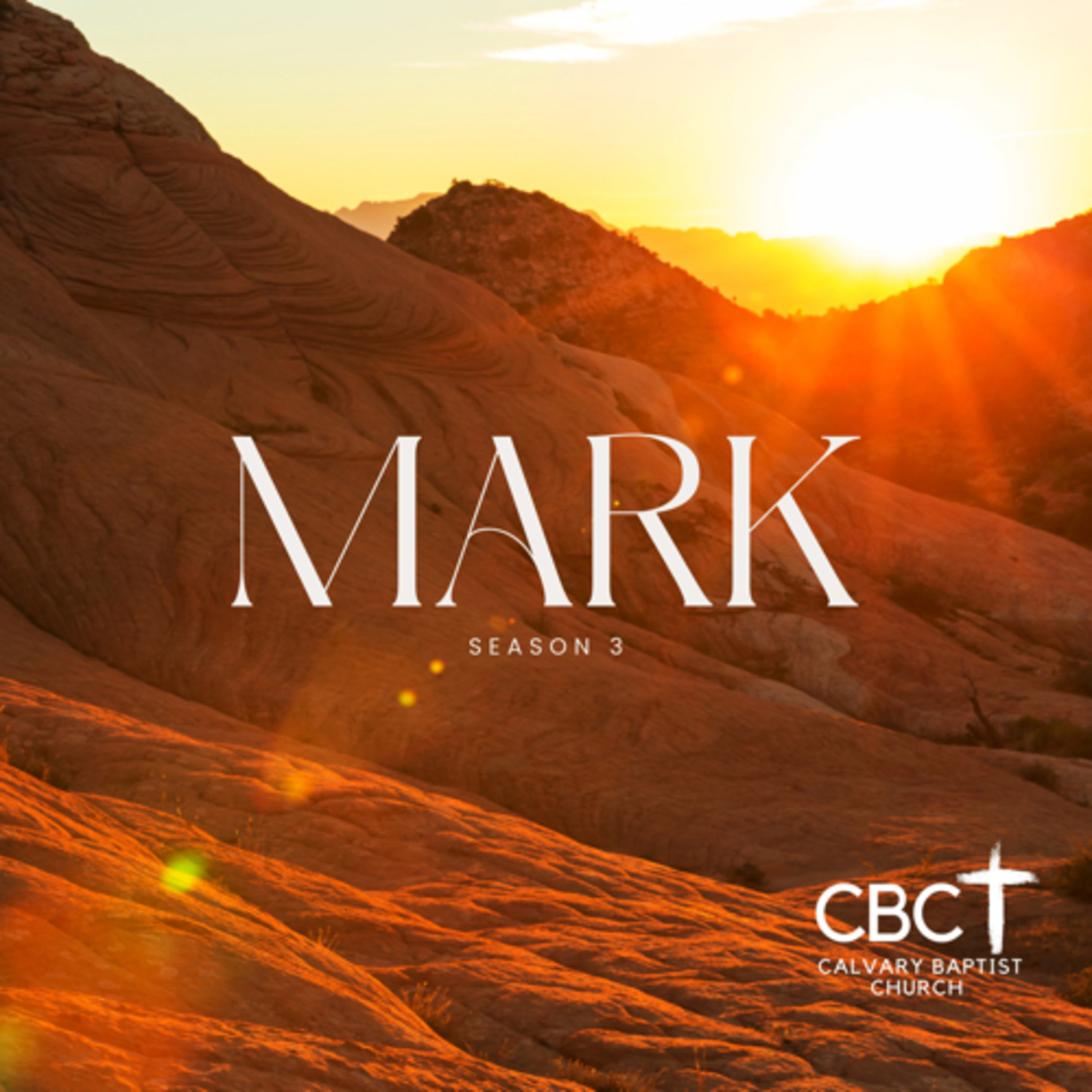 Mark S3: Part 14: Insight episode artwork