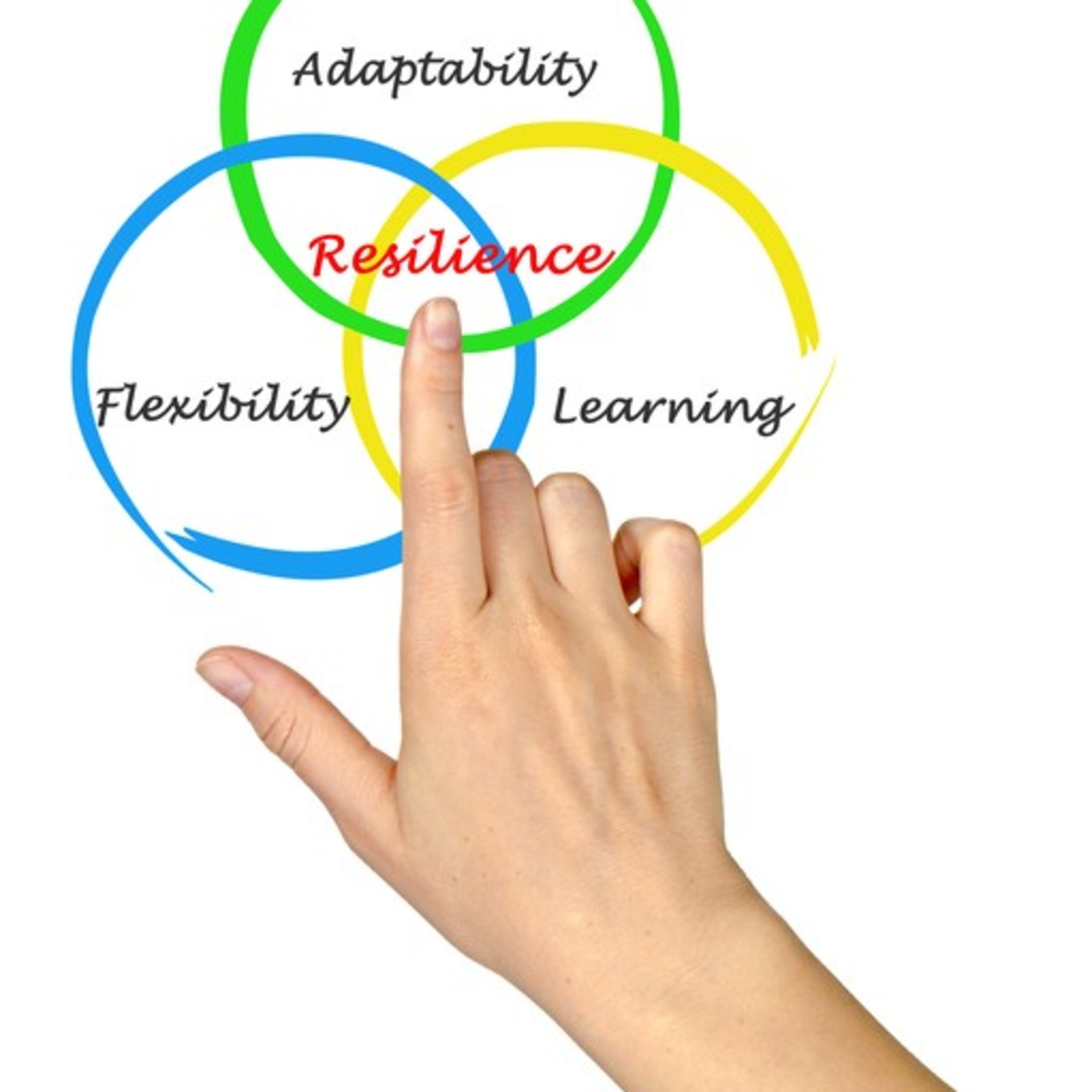 Public Finance and Resilience - Grove Consulting