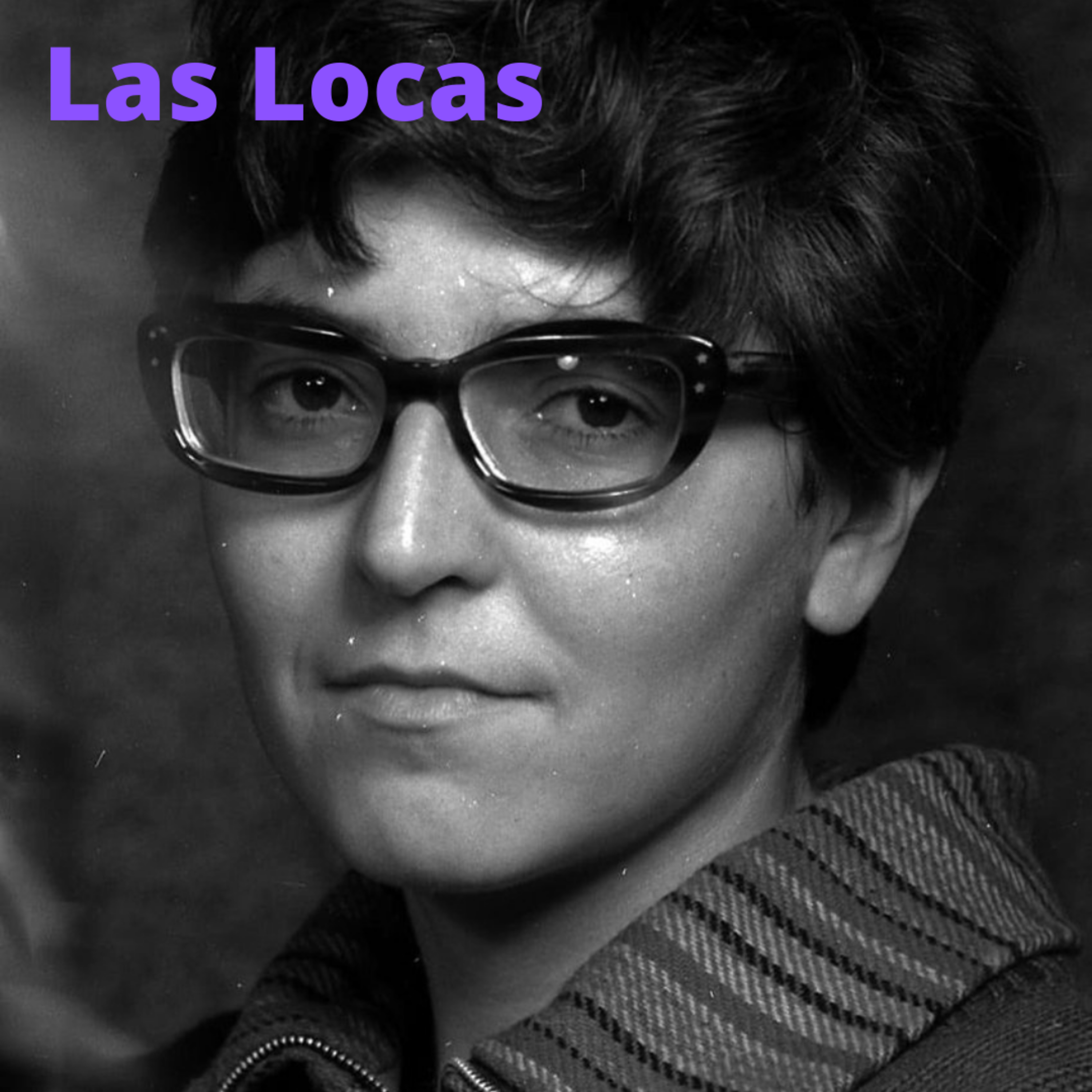 Miel de Arcilla Contenidos.