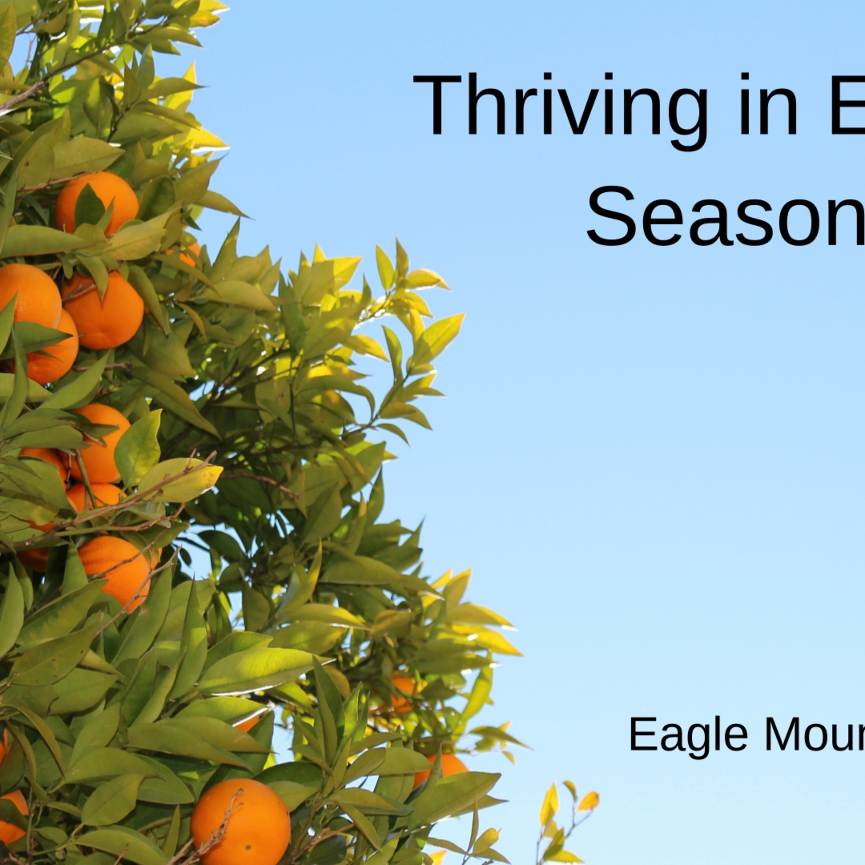 Eagle Mountain Radio