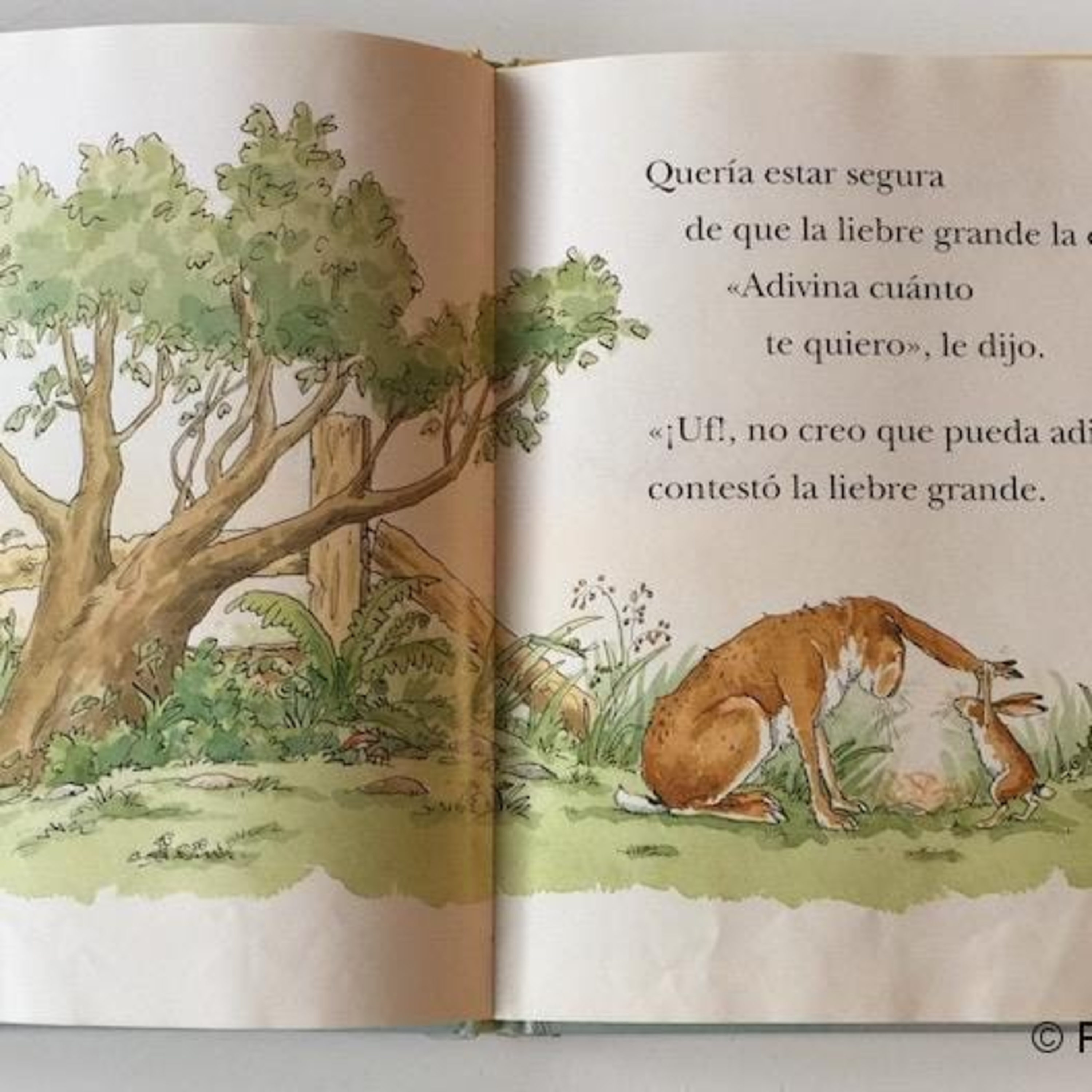 Cuéntame Un Cuento Chile