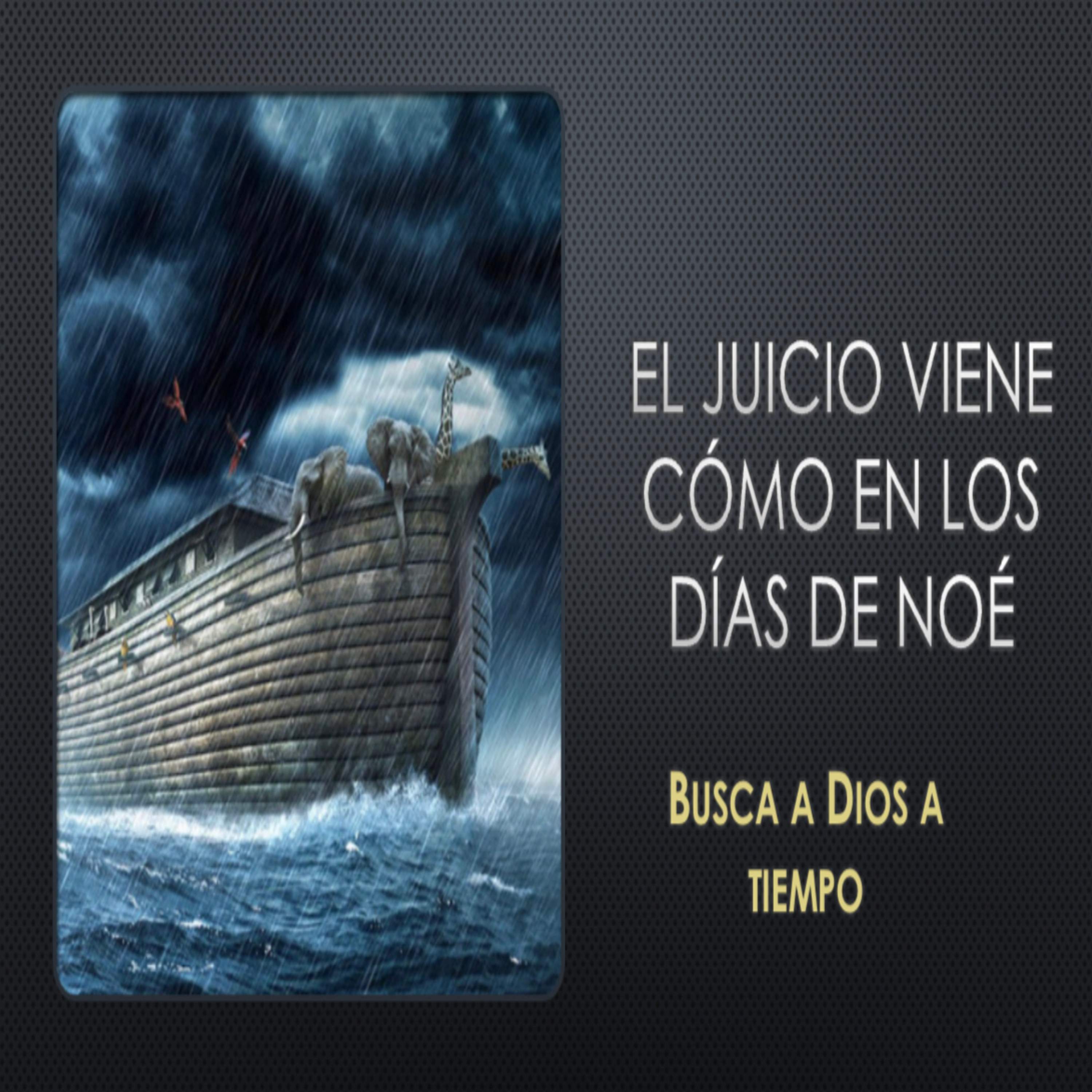 Edificando sobre la roca