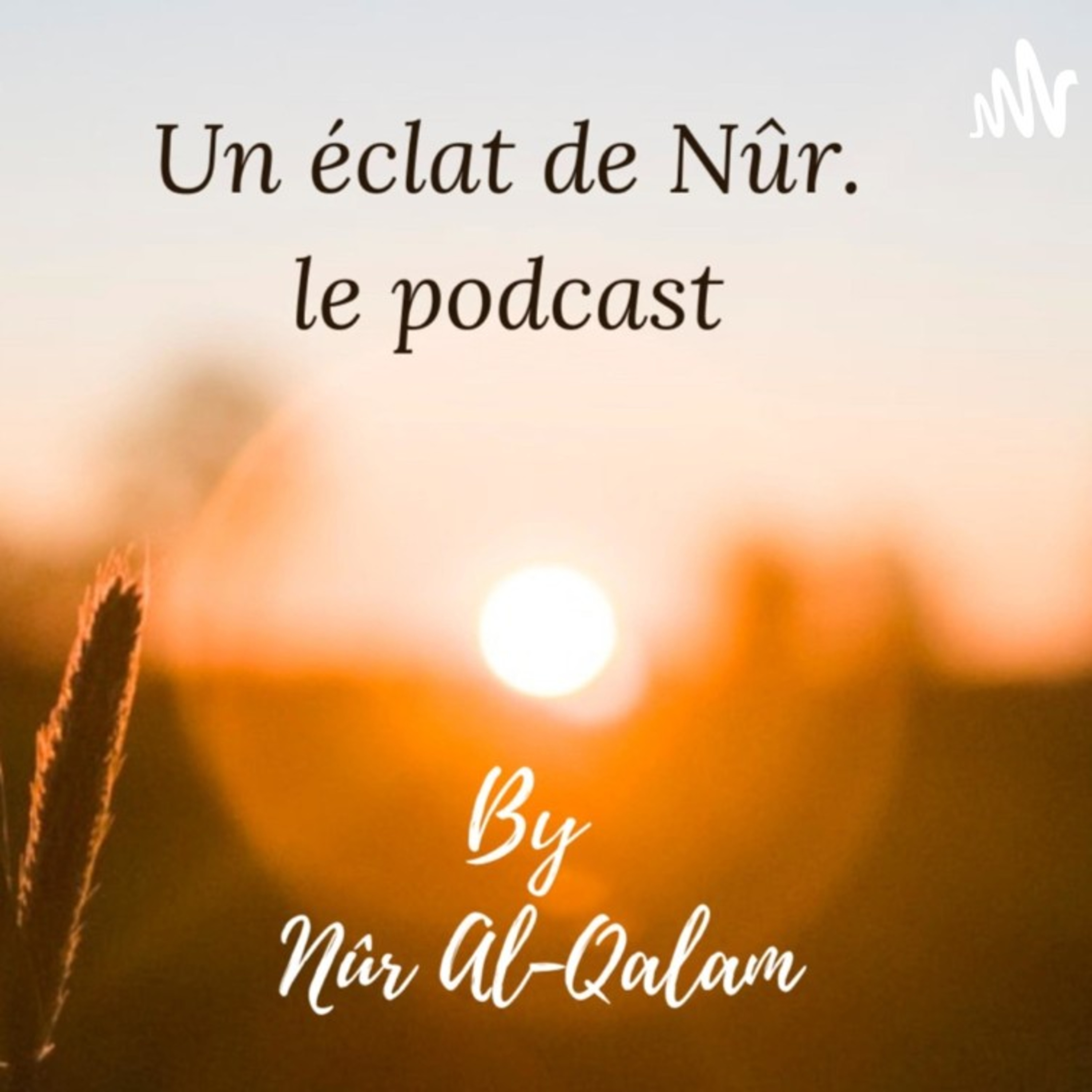 Épisode 25 : épisode spontané au coeur de la création🌱