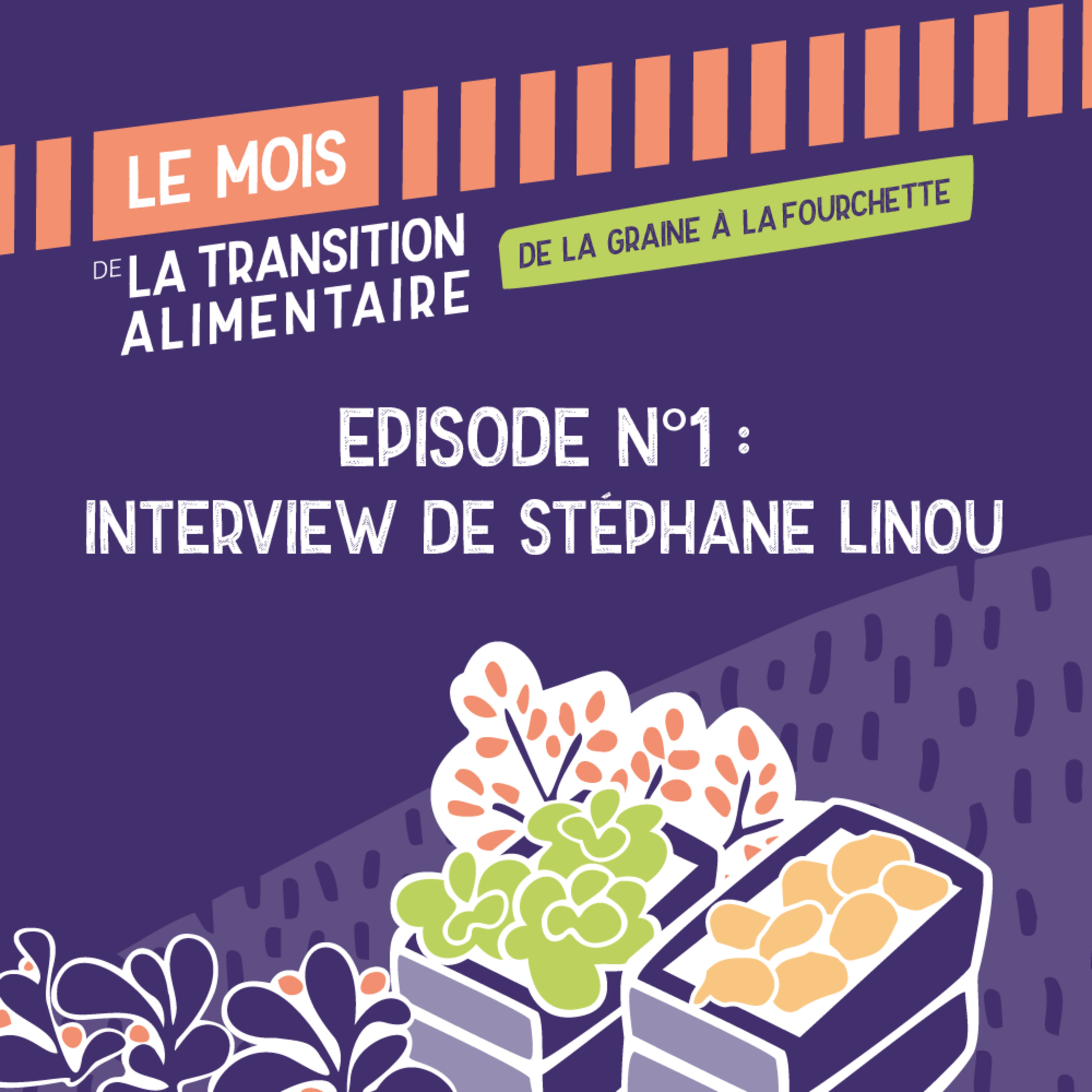 Episode n°1 - Interview de Stéphane Linou episode artwork