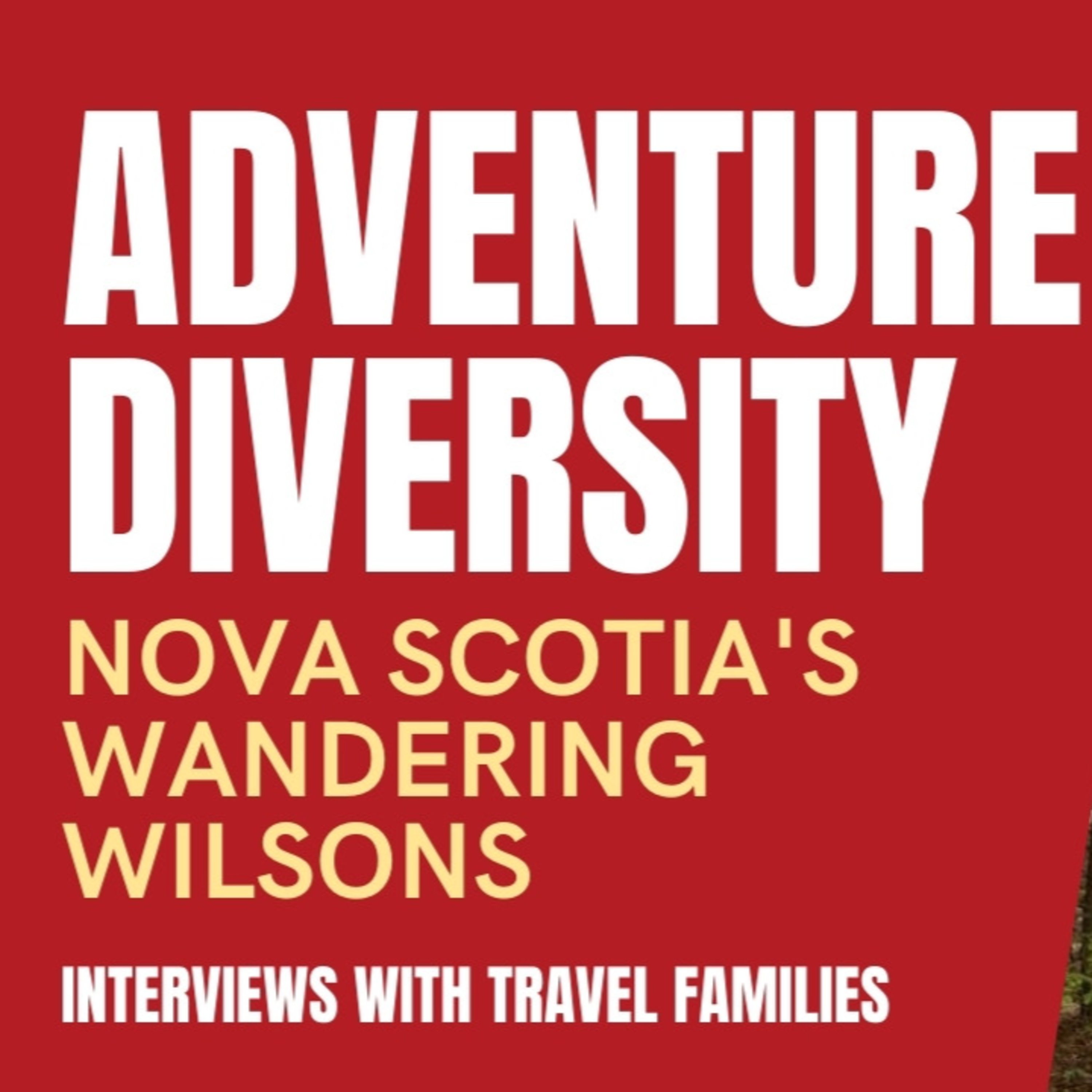 Interviews With Travel Families