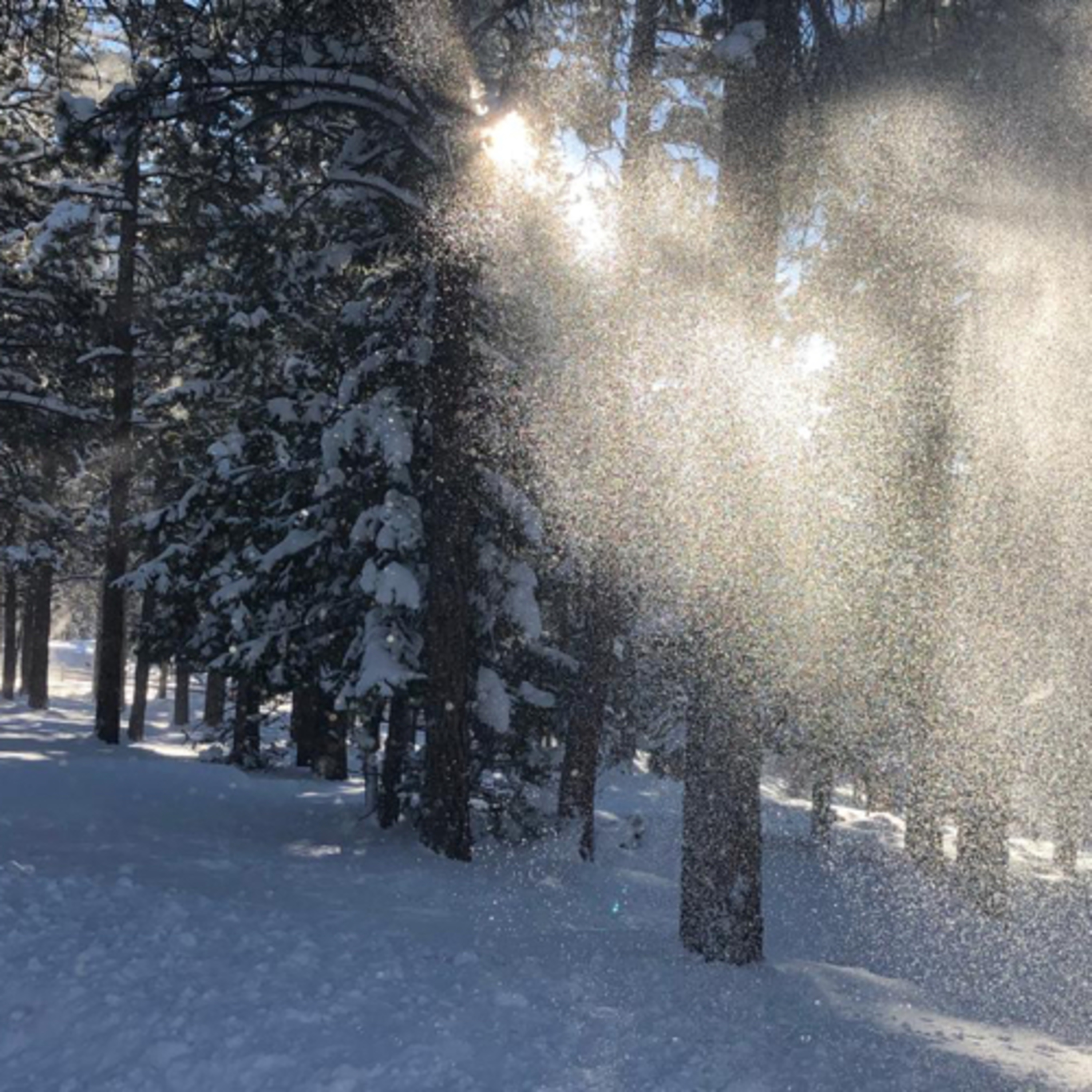 From Spires To Peaks, by Anthony Cragg