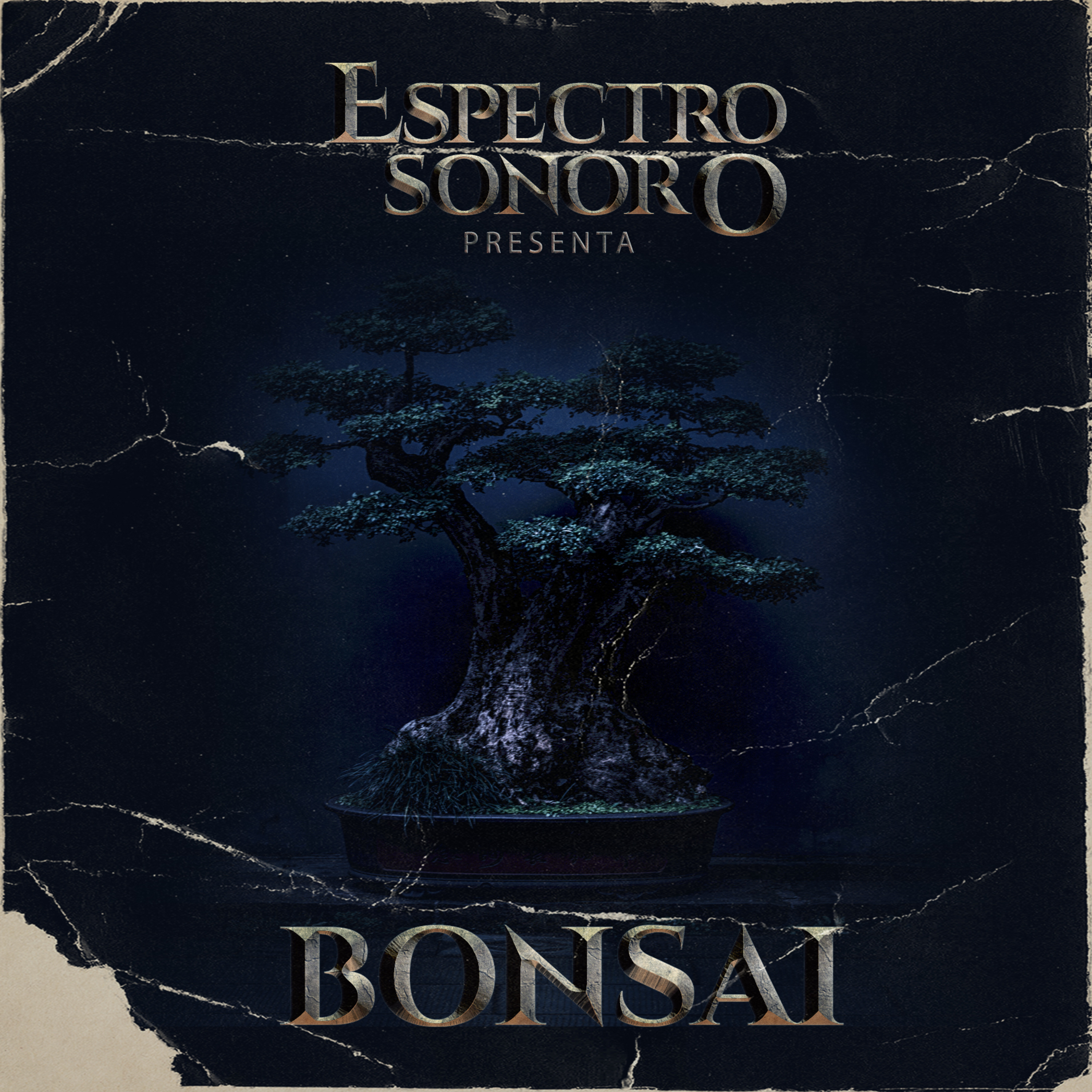 Bonsai episode artwork