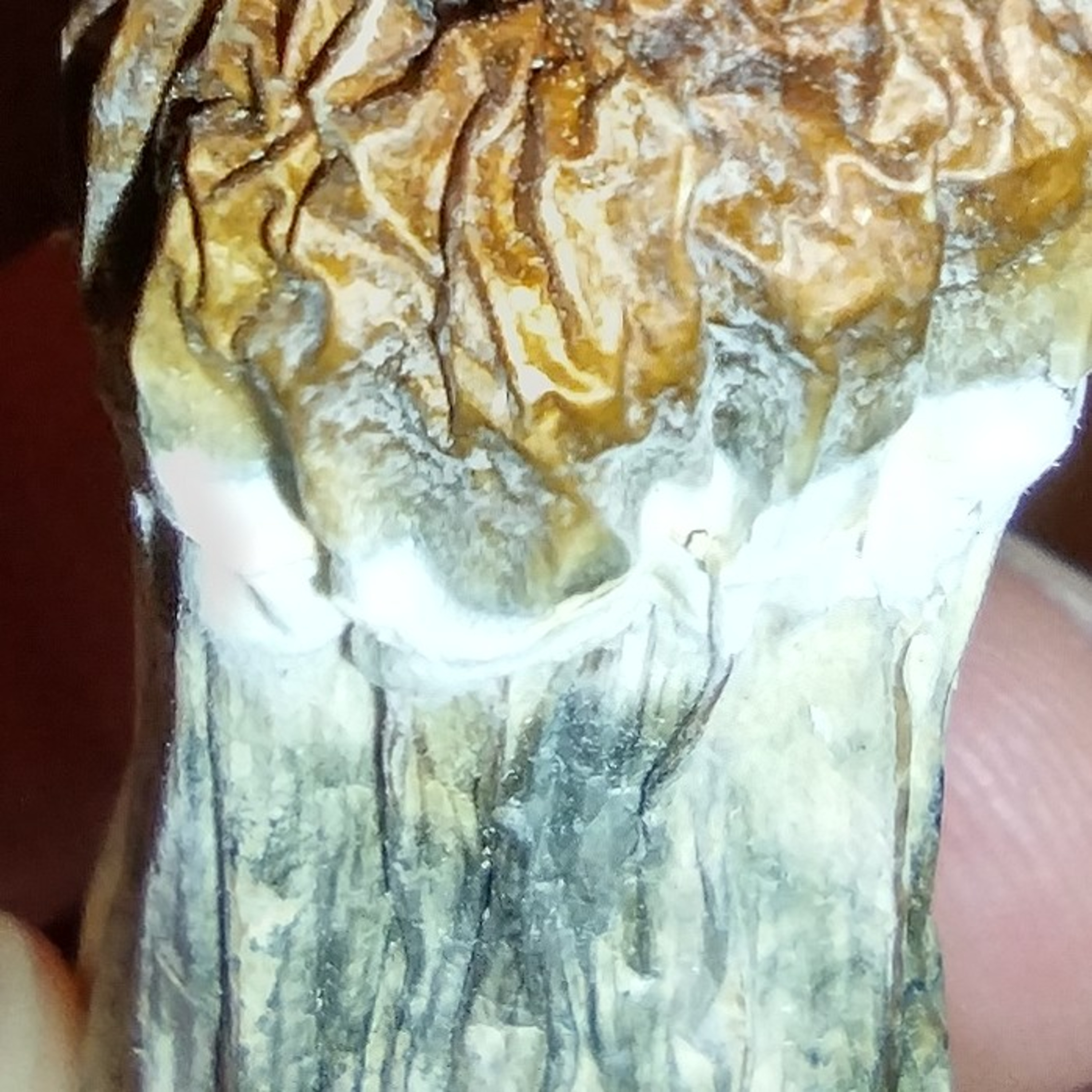 Re-think It All and Question Everything