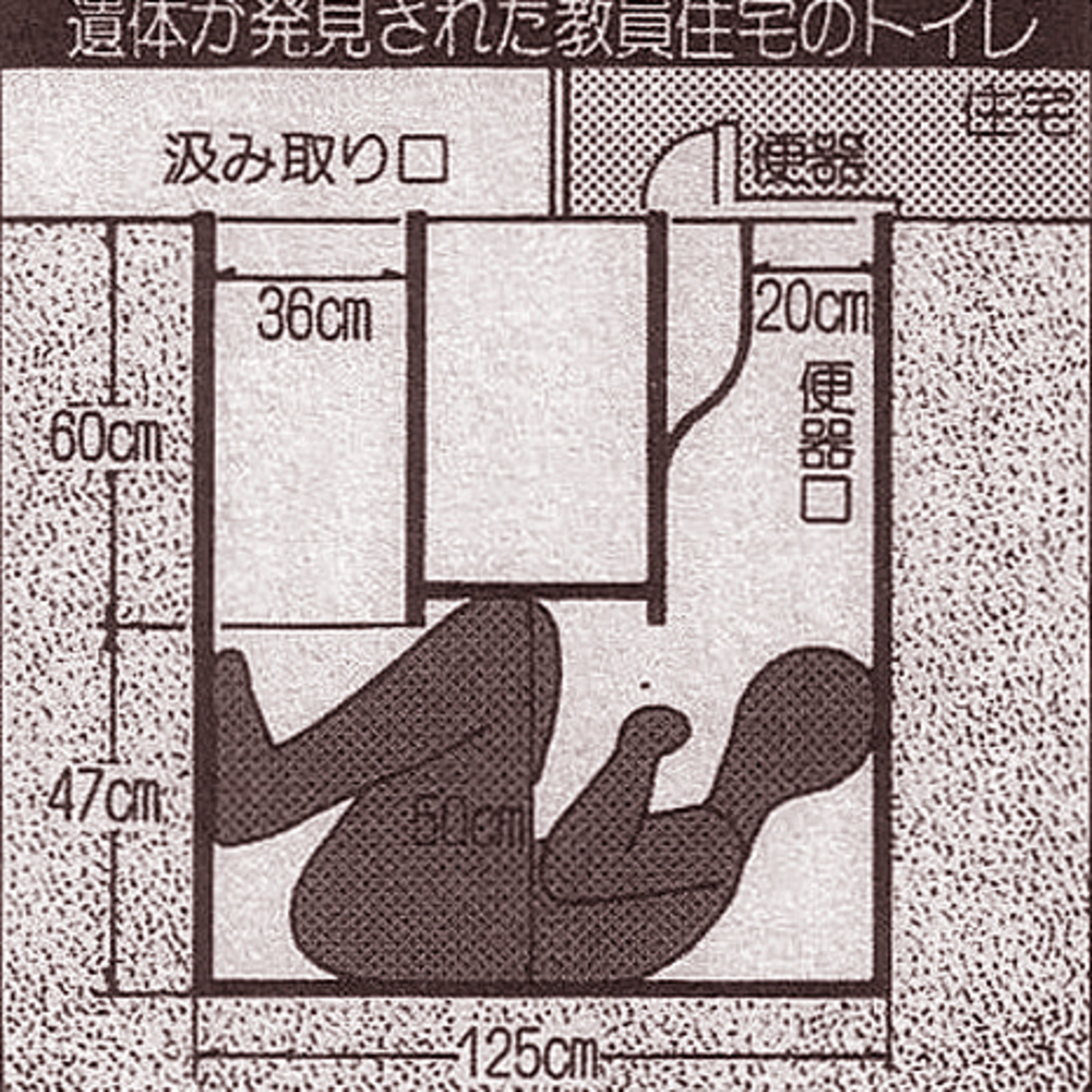 E5 Toilet Death/ Bear Brook Murders episode artwork