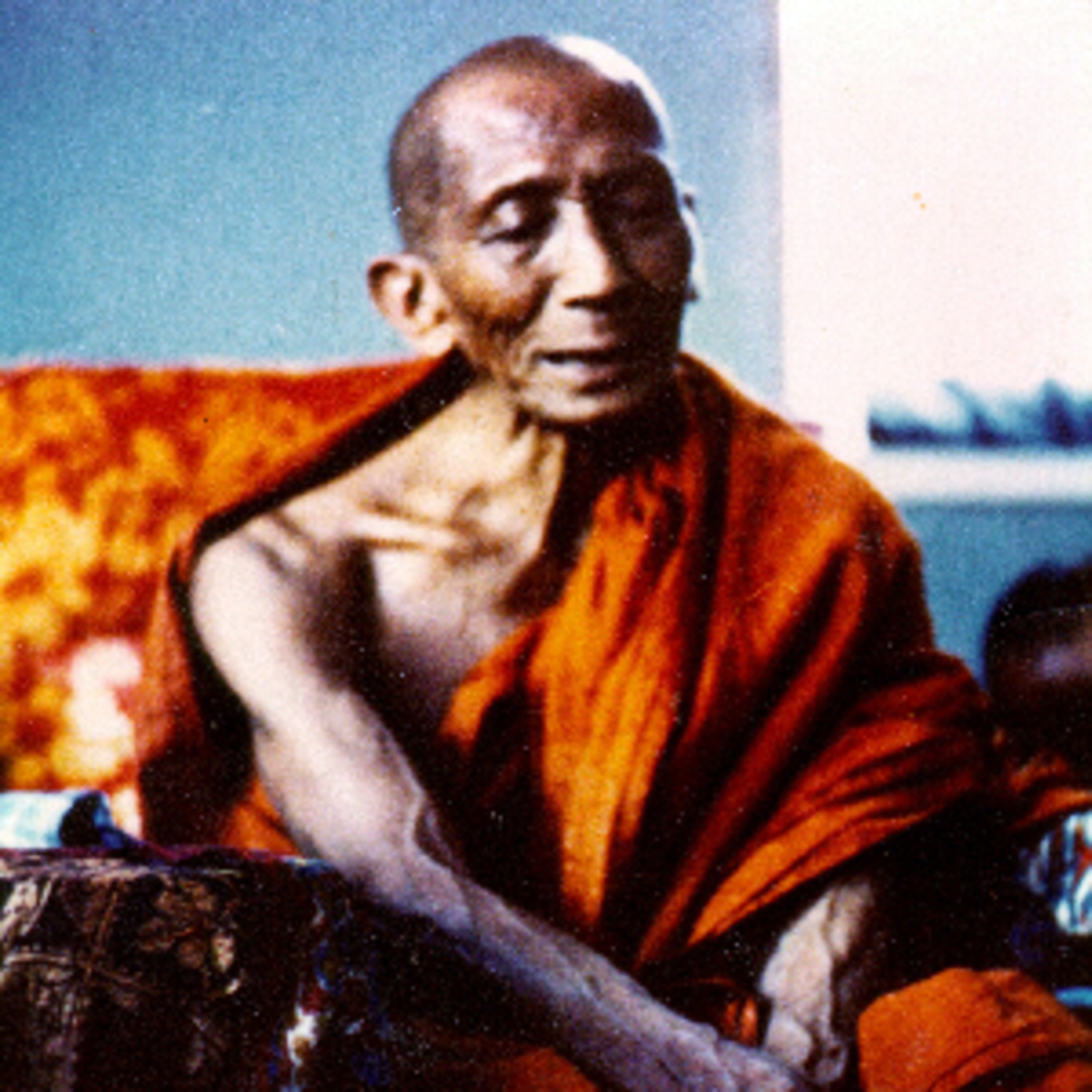 ပရိမိတ္တဇာလသုတ် တရားတော် - ဝေဘူဆရာတော်ဘုရားကြီး episode artwork