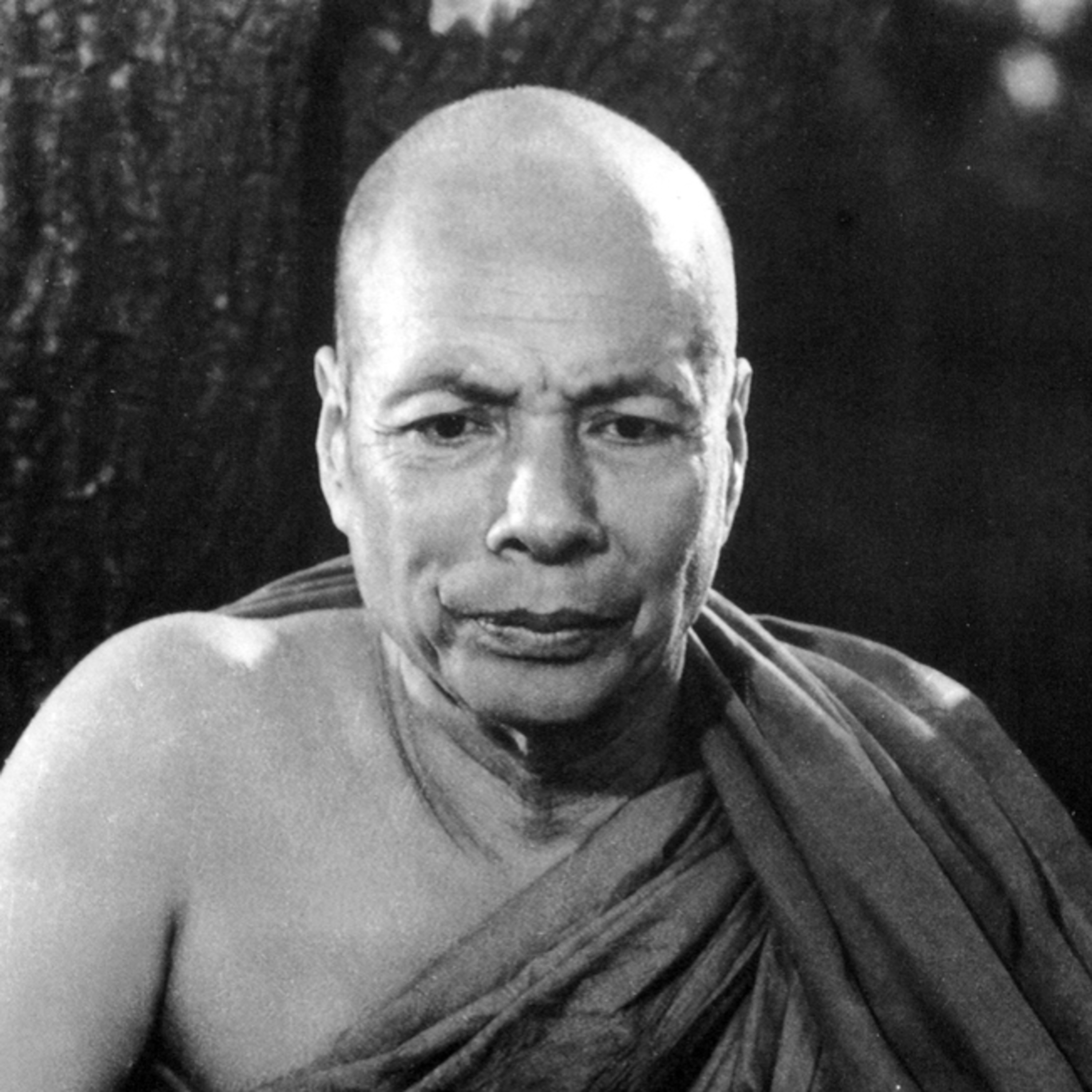 ကာယမီမံ အလုပ်ပေးတရားတော် - မိုးကုတ်ဆရာတော်ဘုရားကြီး episode artwork