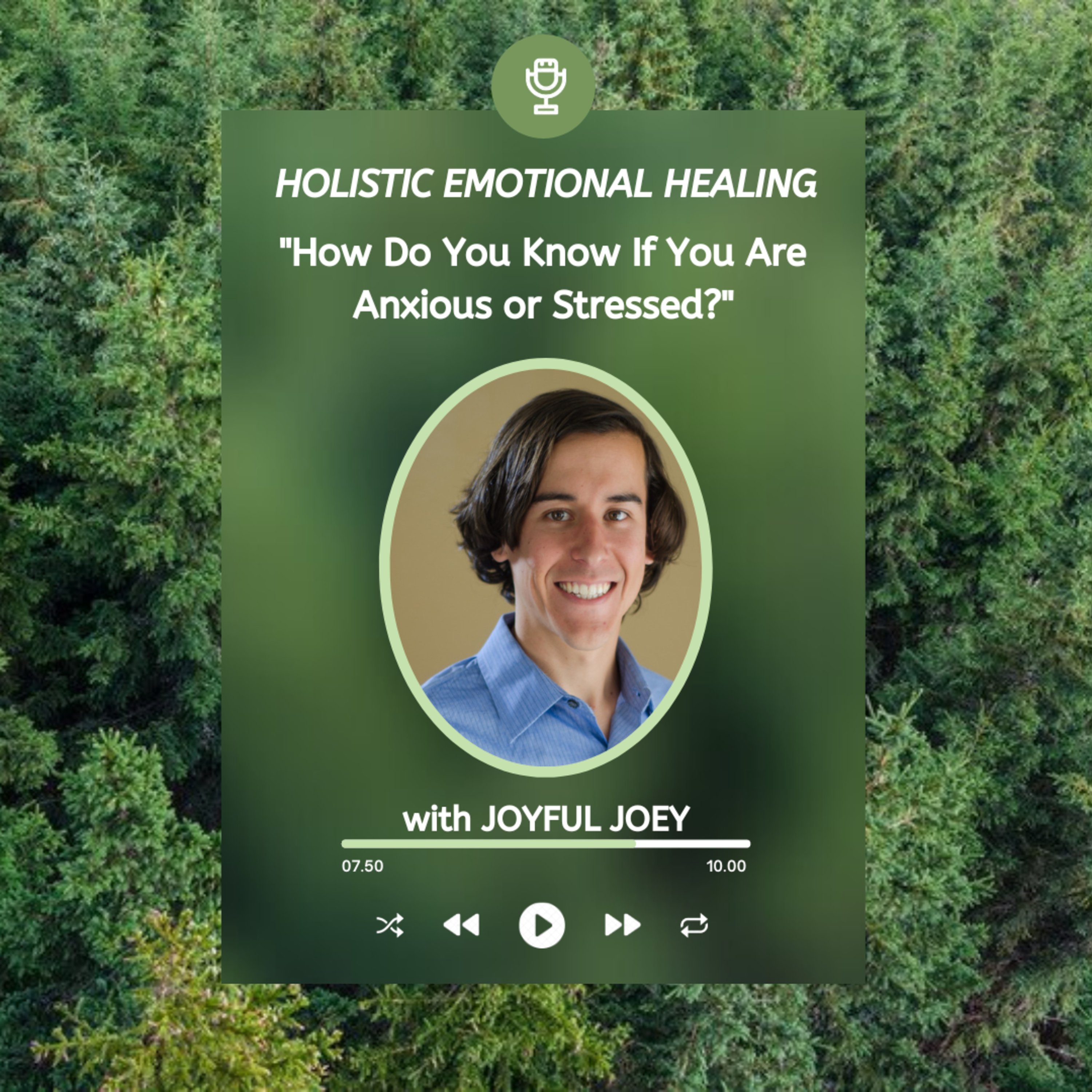Holistic Emotional Healing